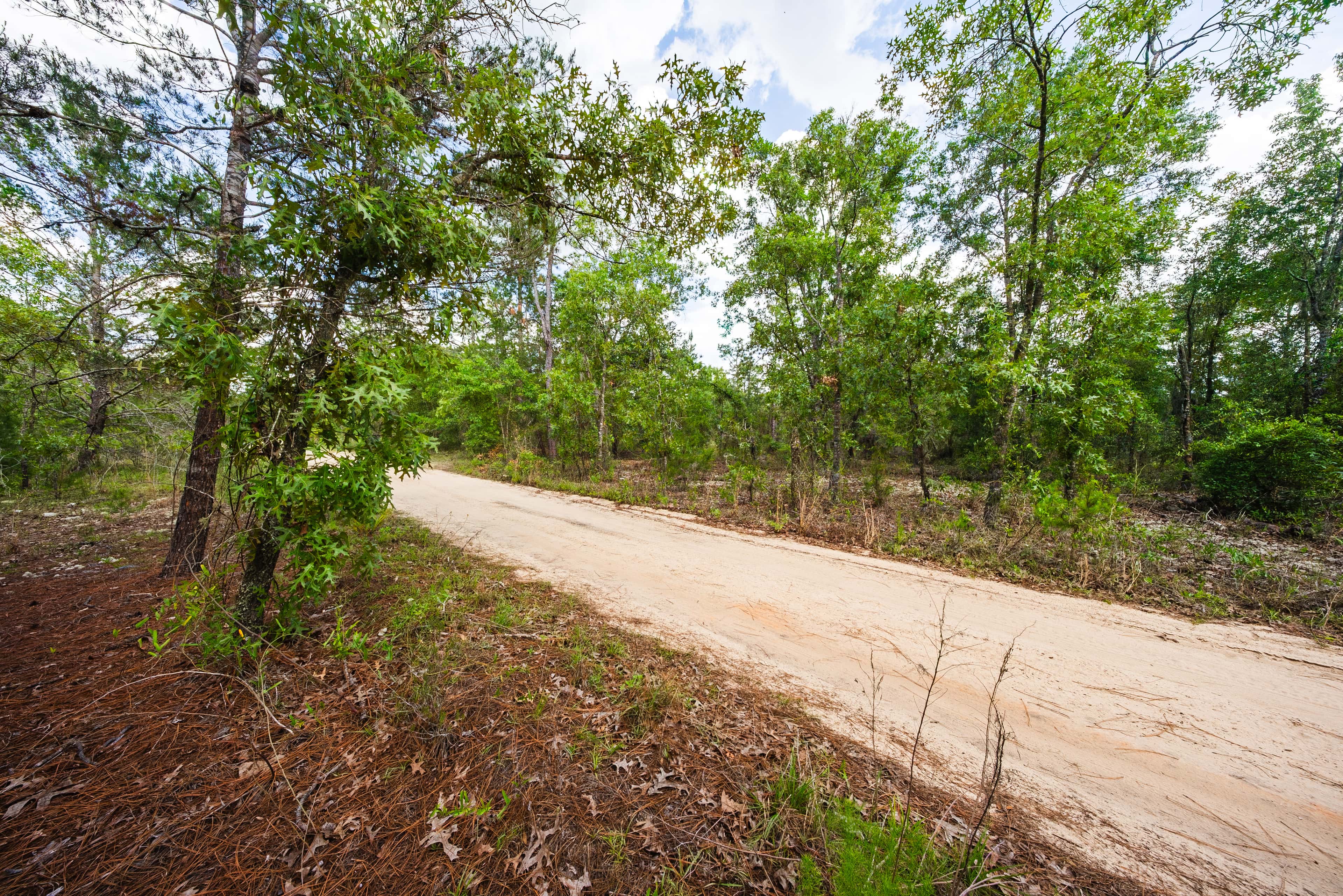 0.25 acre residential zoned land for sale in Putnam County, FL, photo 11