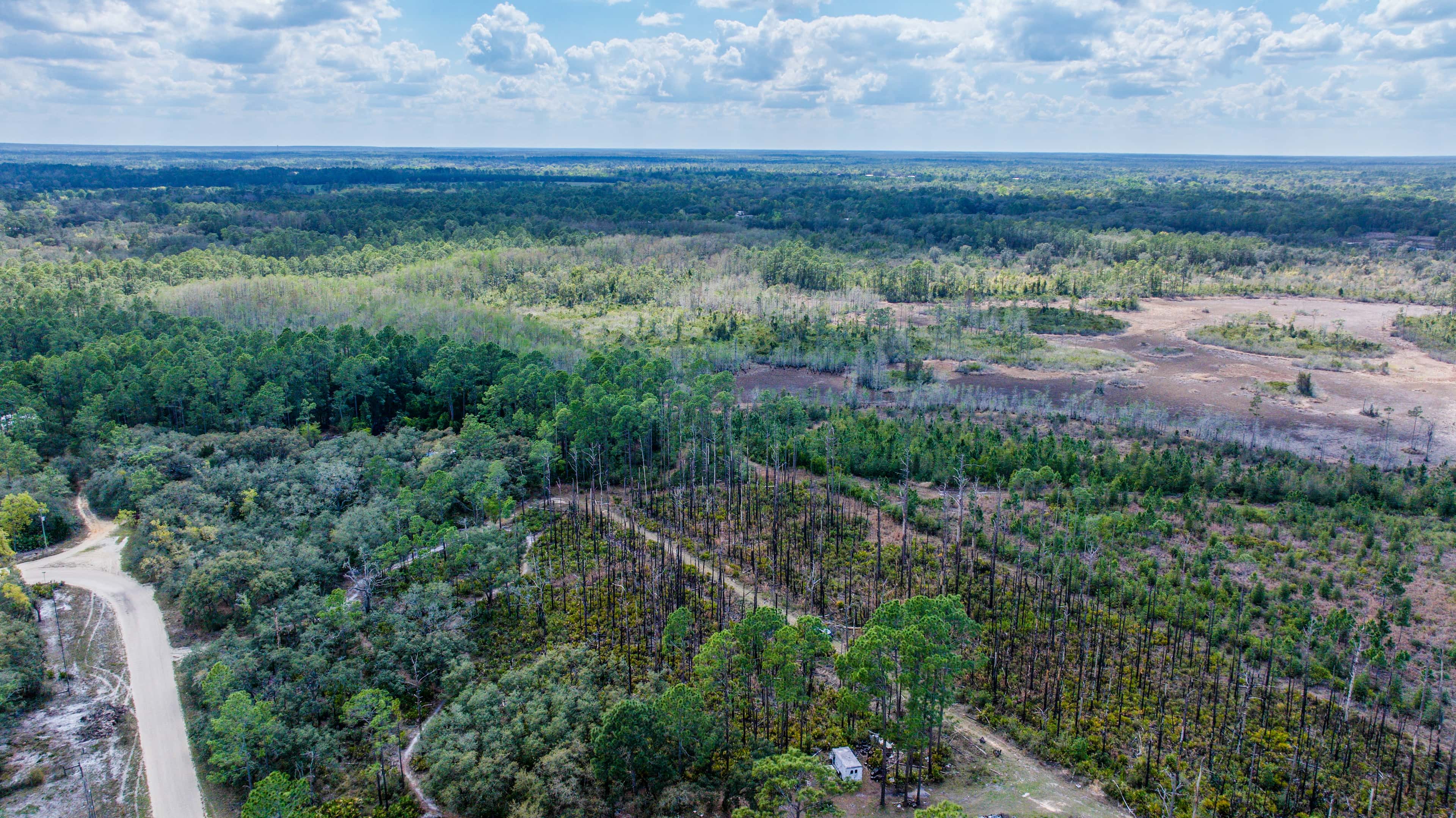 0.22 acre residential zoned land for sale in Putnam County, FL, photo 4