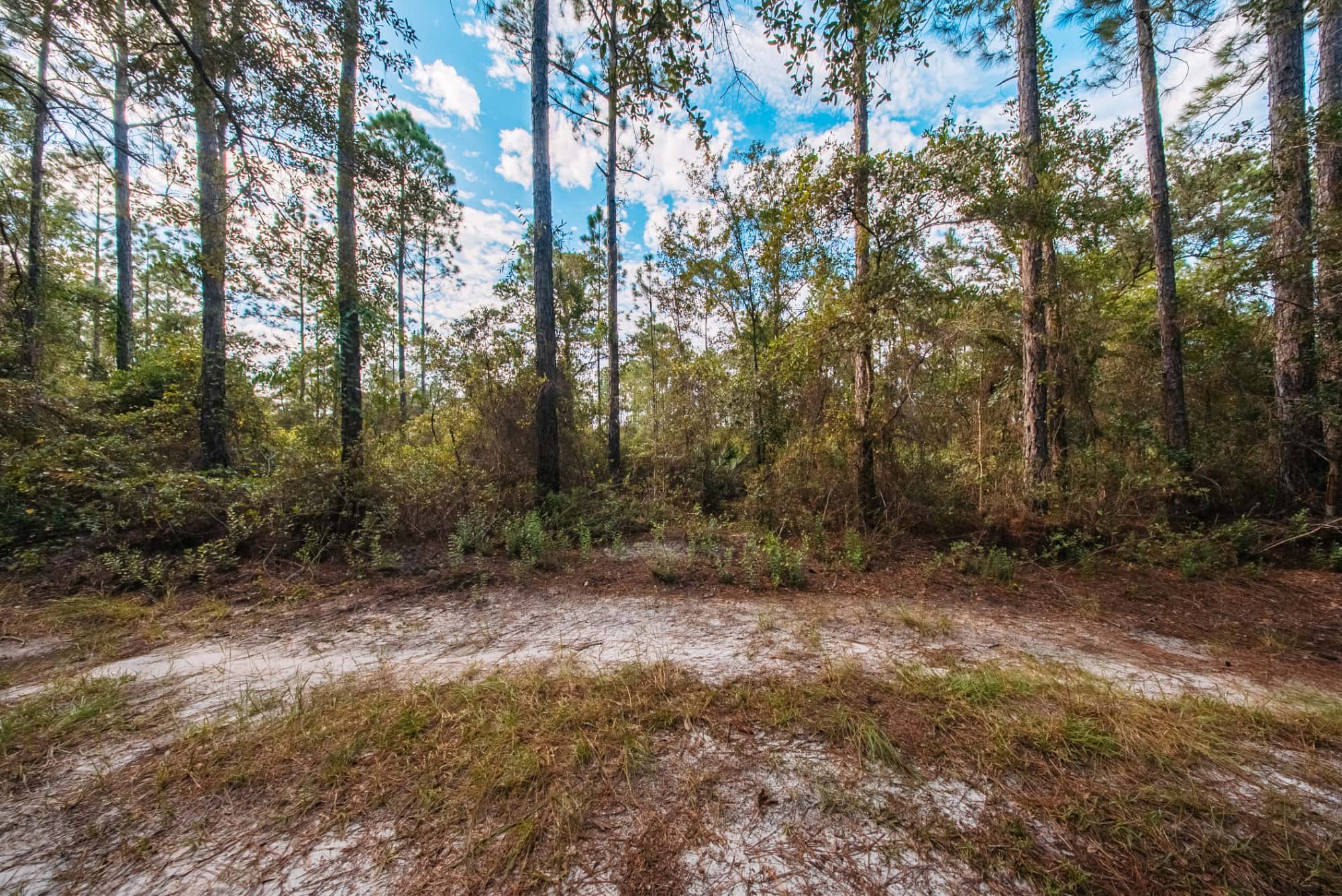 1.55 acre agricultural zoned land for sale in Putnam County, FL, photo 3
