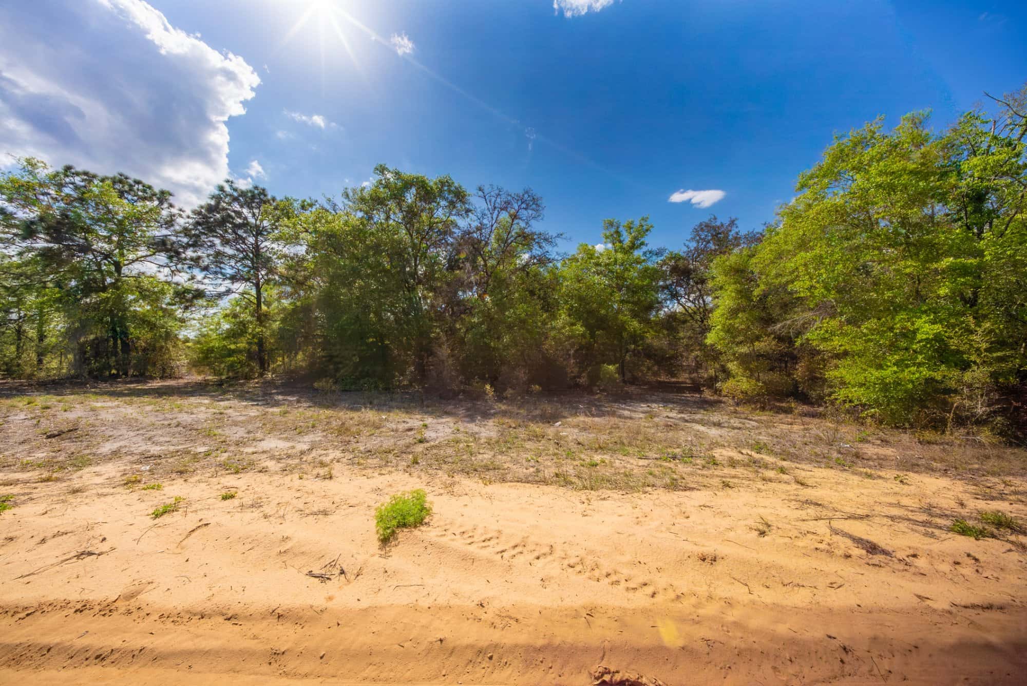 0.28 acre residential zoned land for sale in Putnam County, FL, photo 10