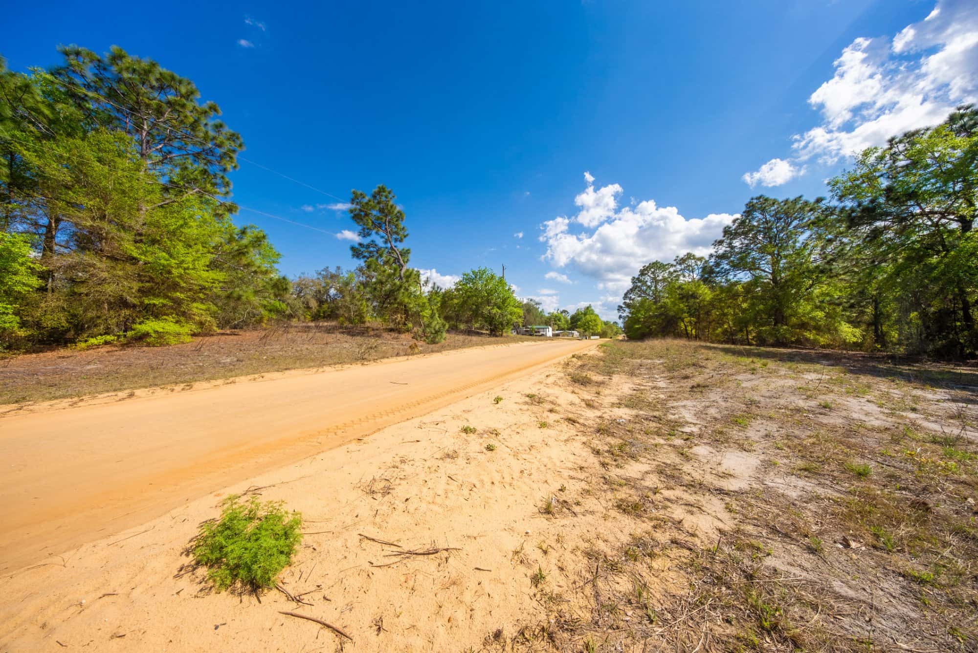 0.28 acre residential zoned land for sale in Putnam County, FL, photo 15