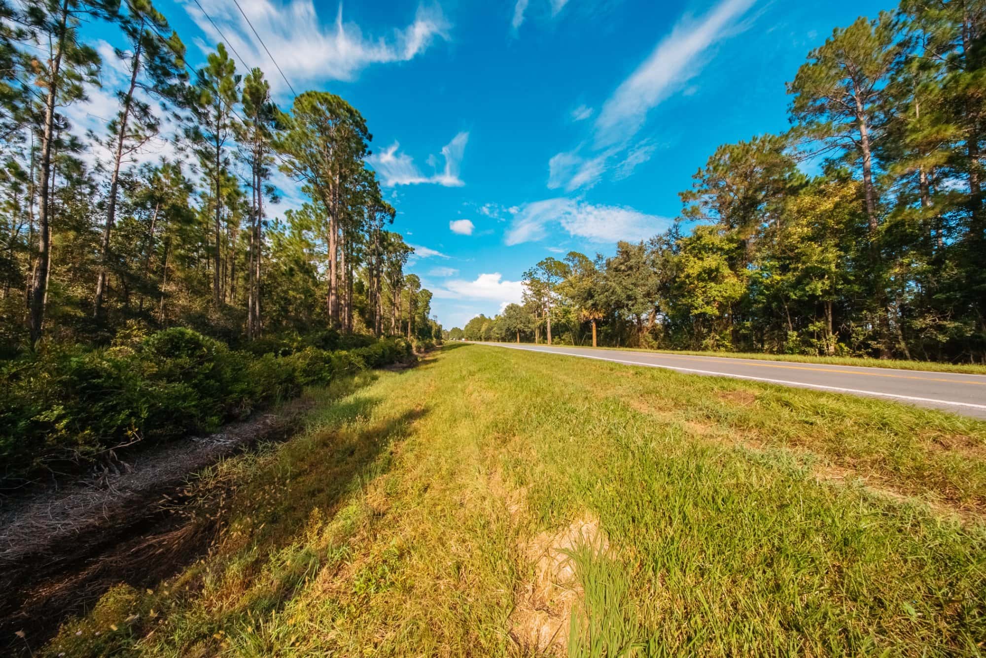1.55 acre agricultural zoned land for sale in Putnam County, FL, photo 9