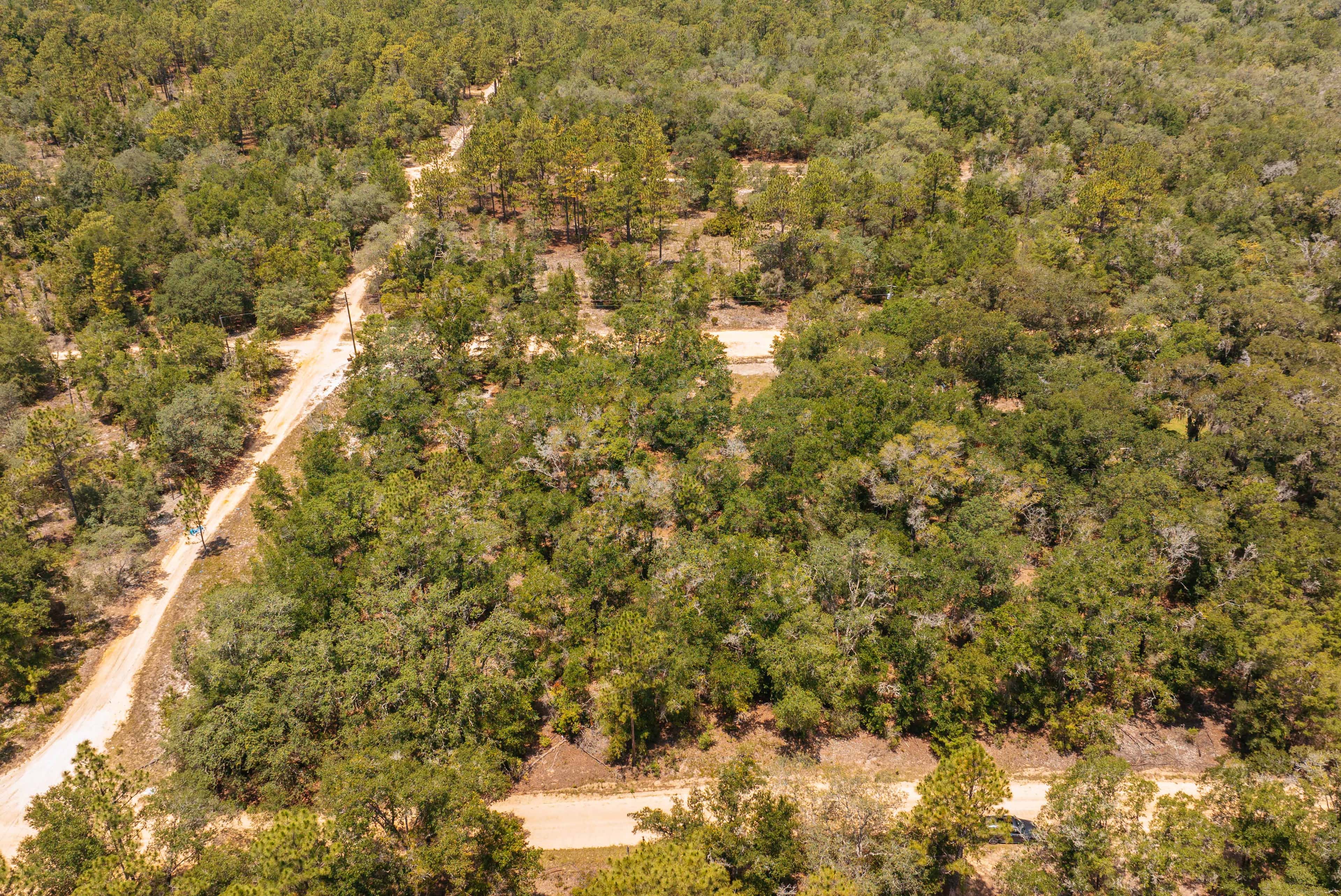 0.2 acre residential zoned land for sale in Putnam County, FL, photo 5