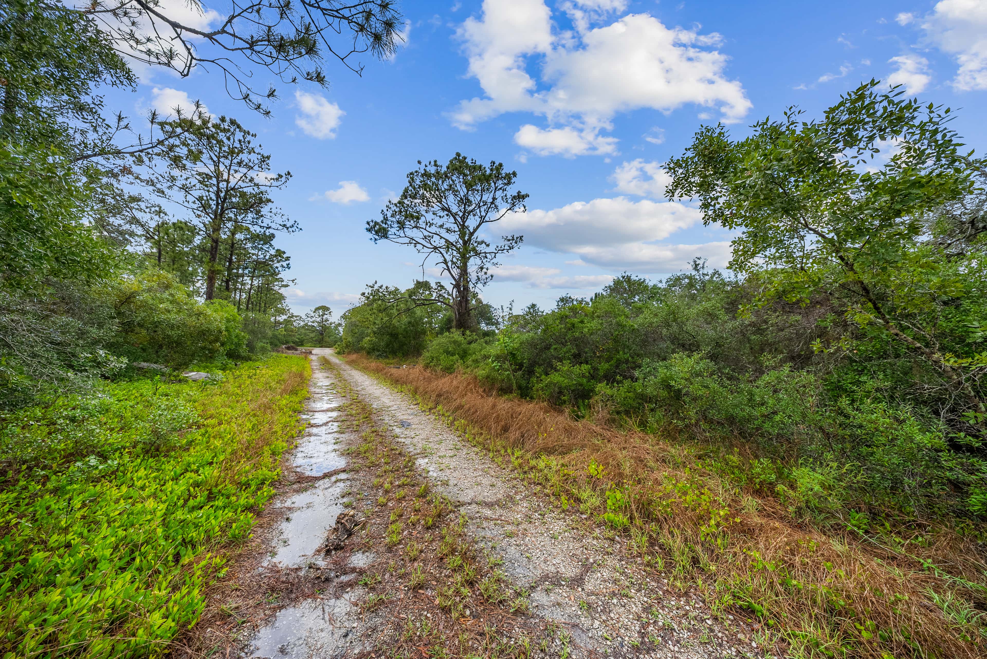 0.23 acre residential zoned land for sale in Highlands County, FL, photo 4