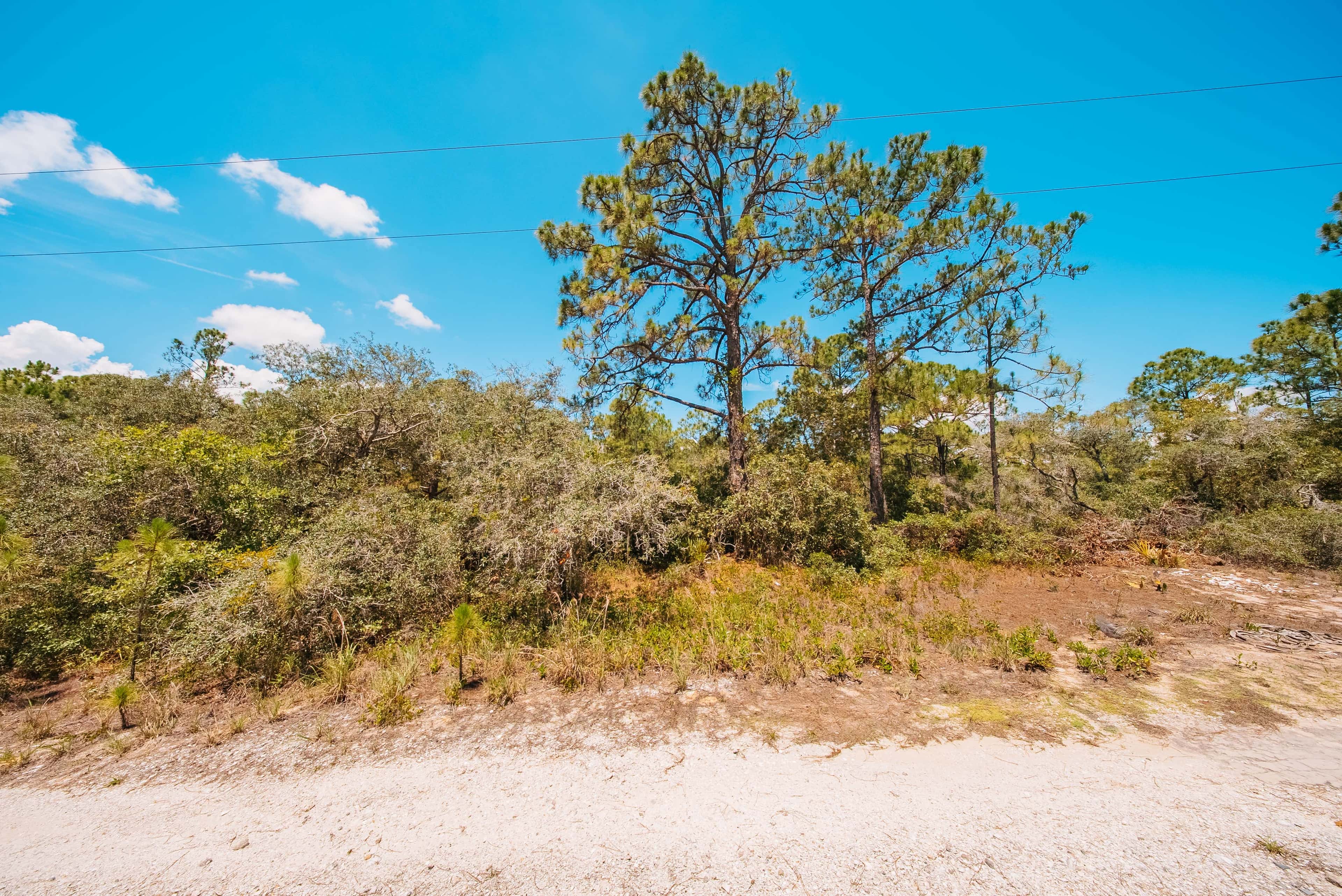 0.24 acre residential zoned land for sale in Highlands County, FL, photo 7