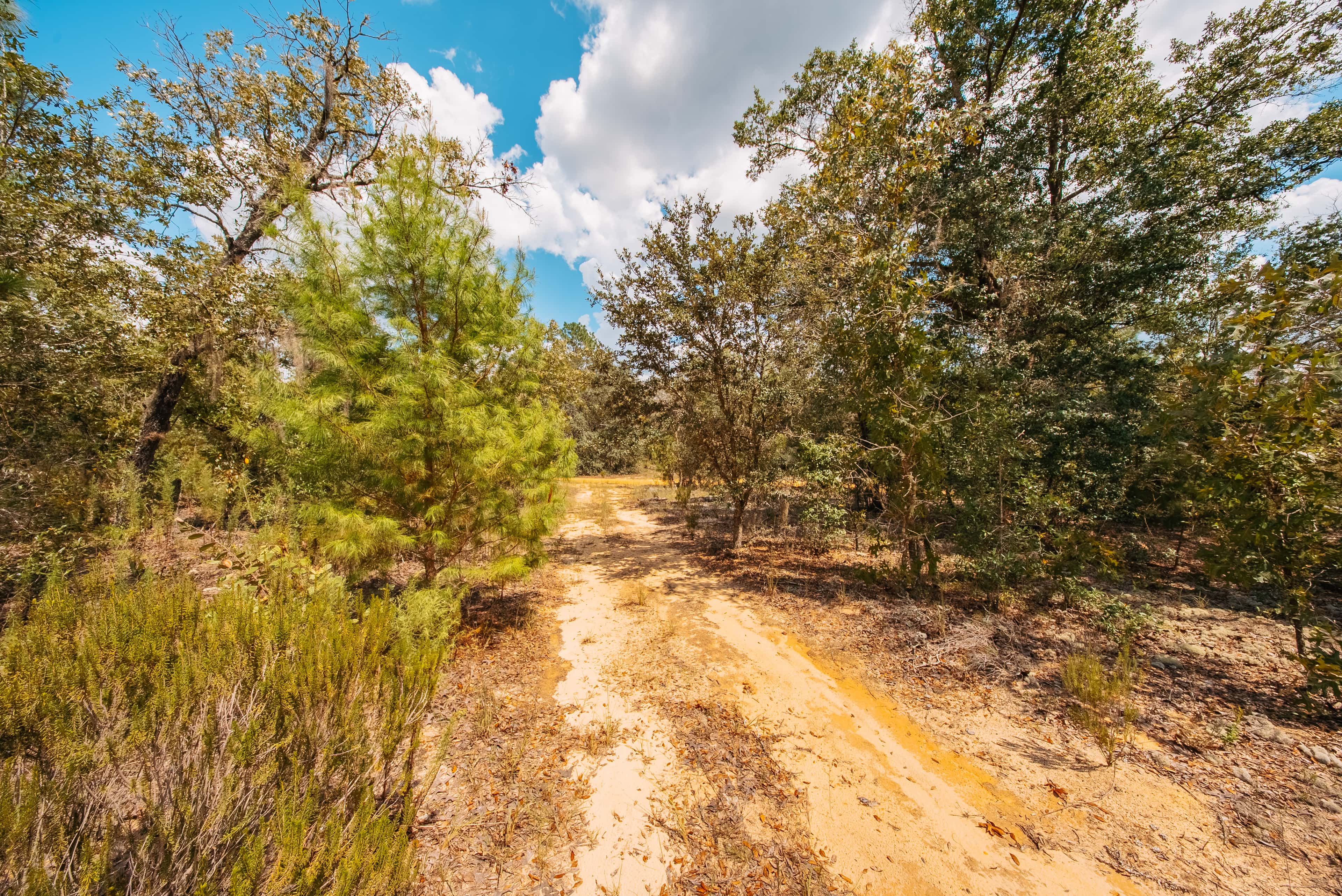 0.2 acre residential zoned land for sale in Putnam County, FL, photo 12