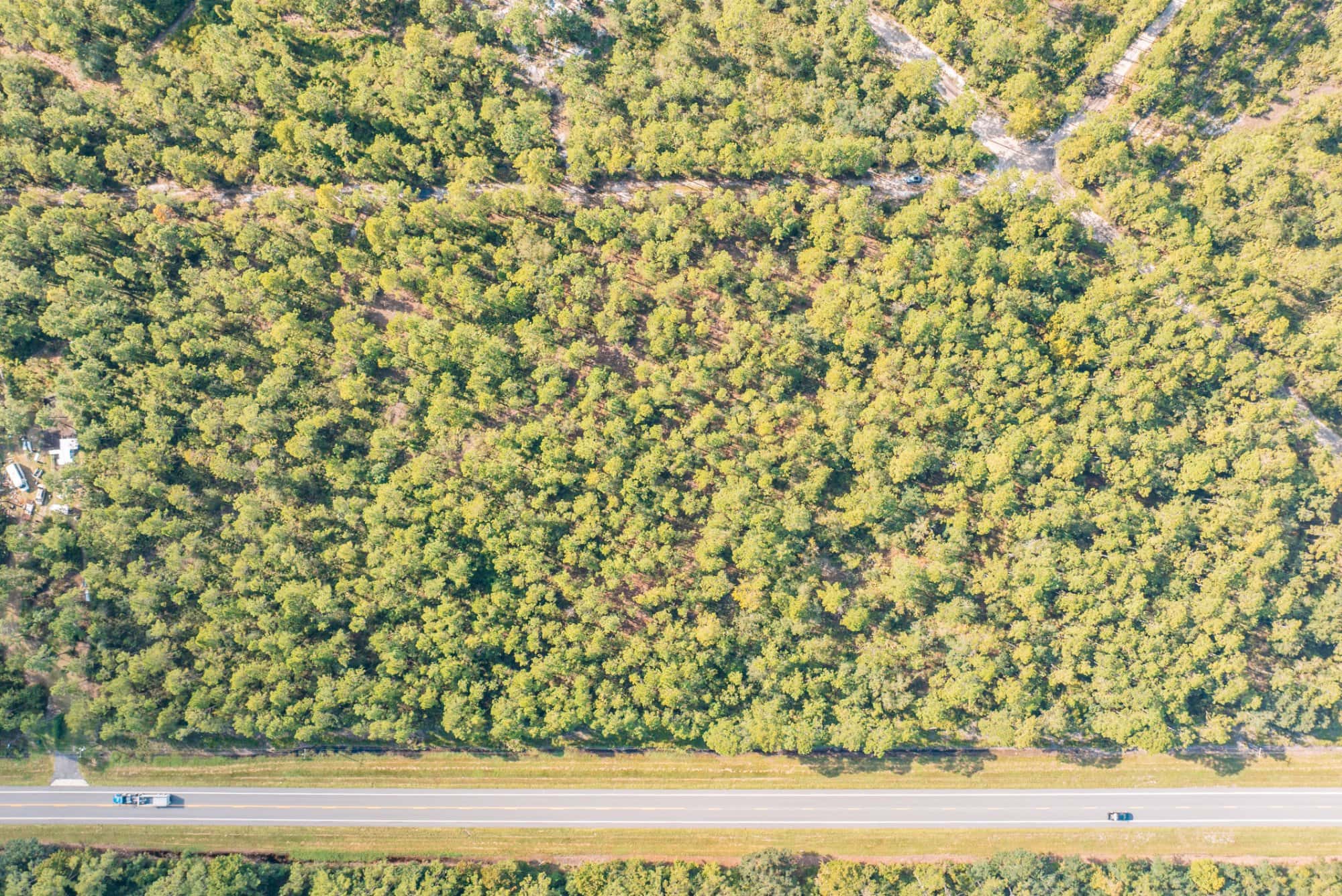 1.55 acre agricultural zoned land for sale in Putnam County, FL, photo 4