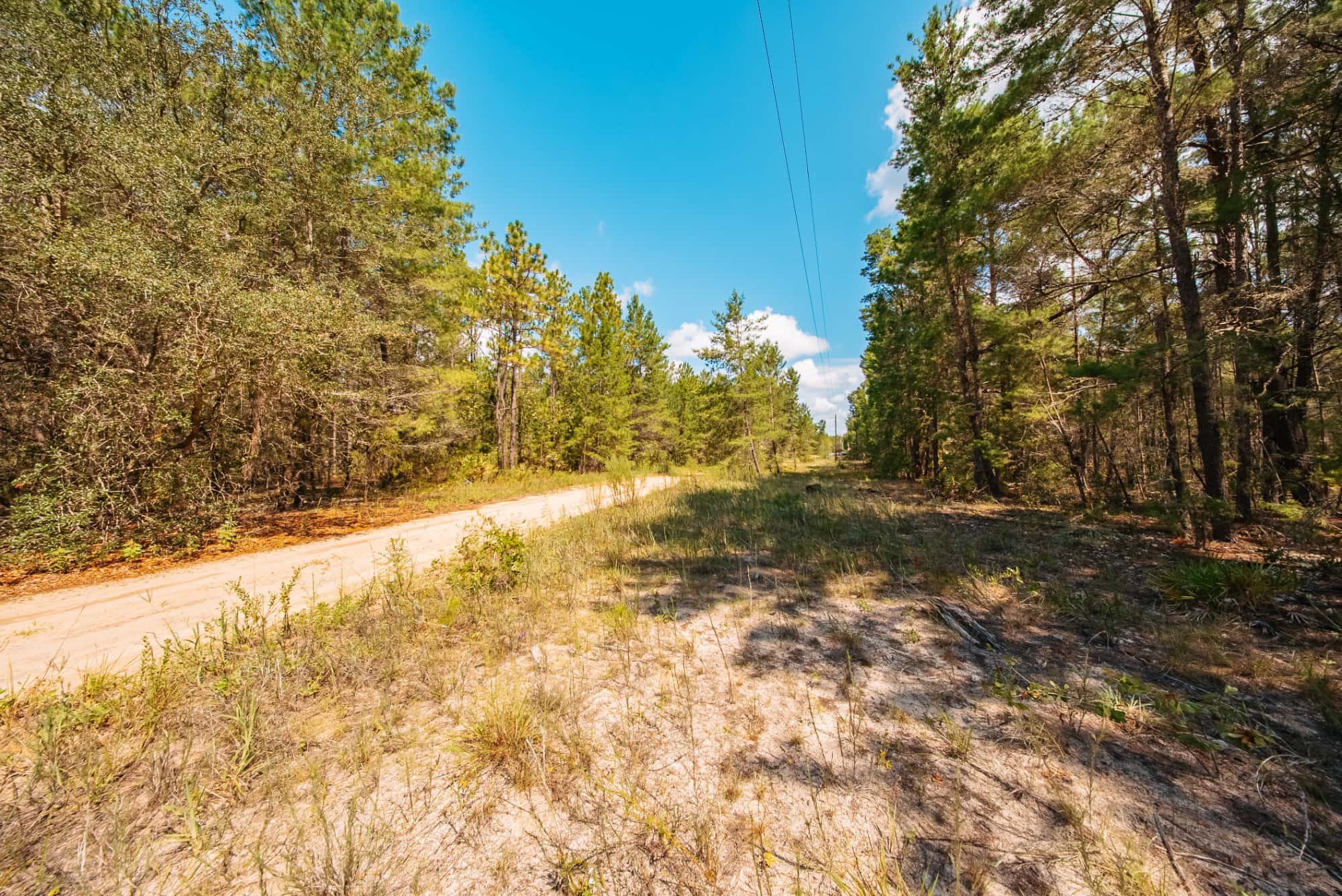 0.34 acre residential zoned land for sale in Putnam County, FL, photo 15