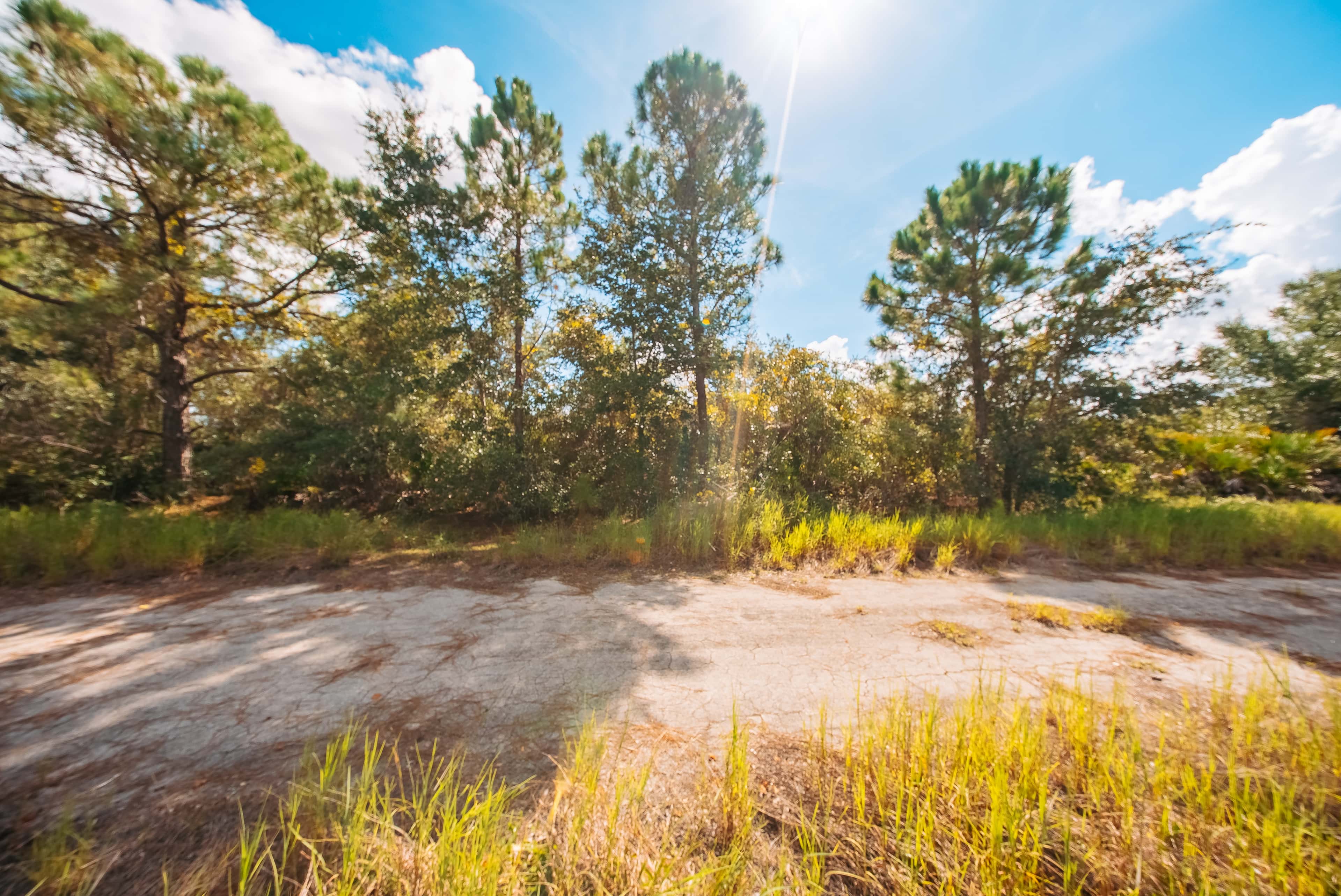0.3 acre residential zoned land for sale in Highlands County, FL, photo 14