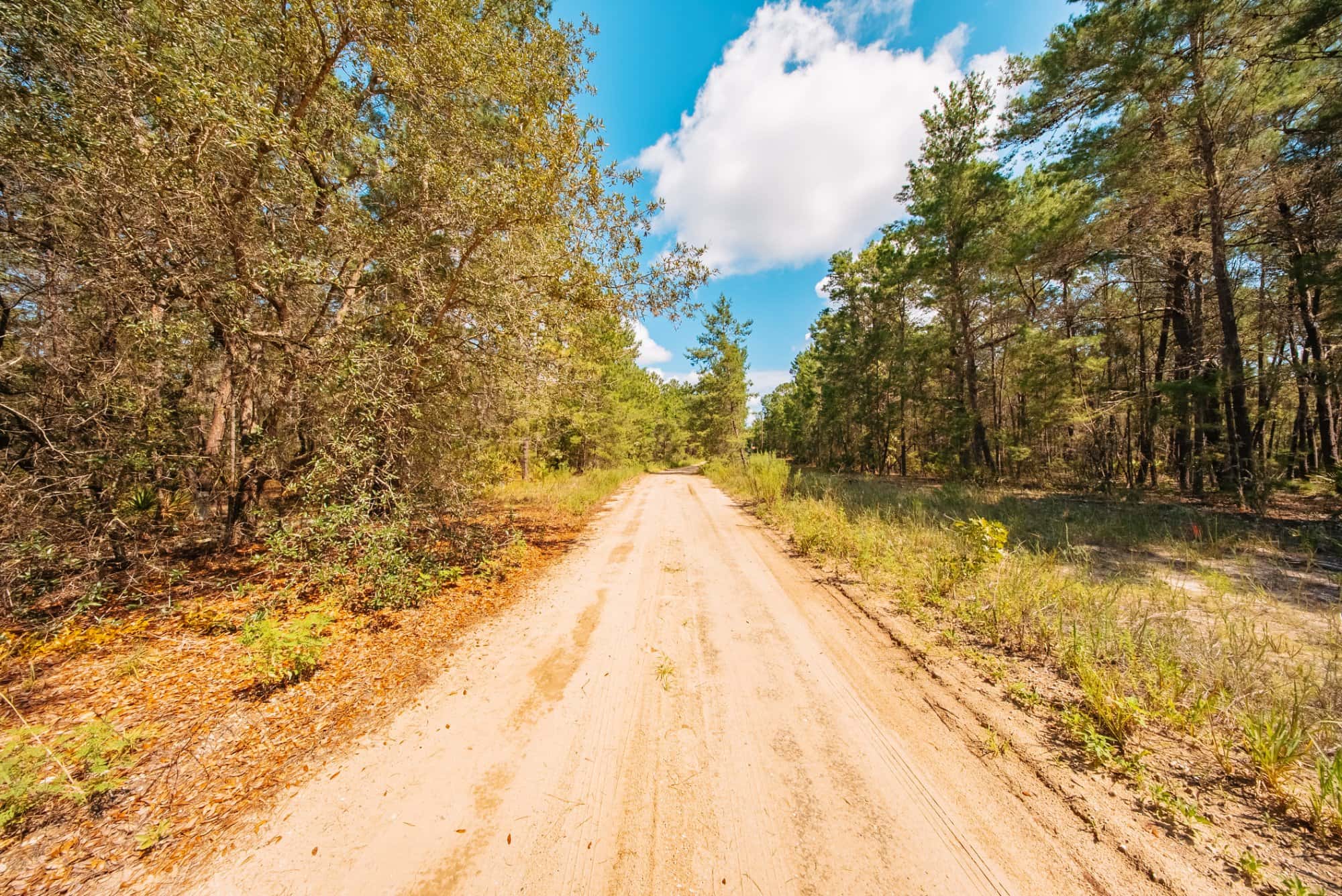 0.34 acre residential zoned land for sale in Putnam County, FL, photo 8