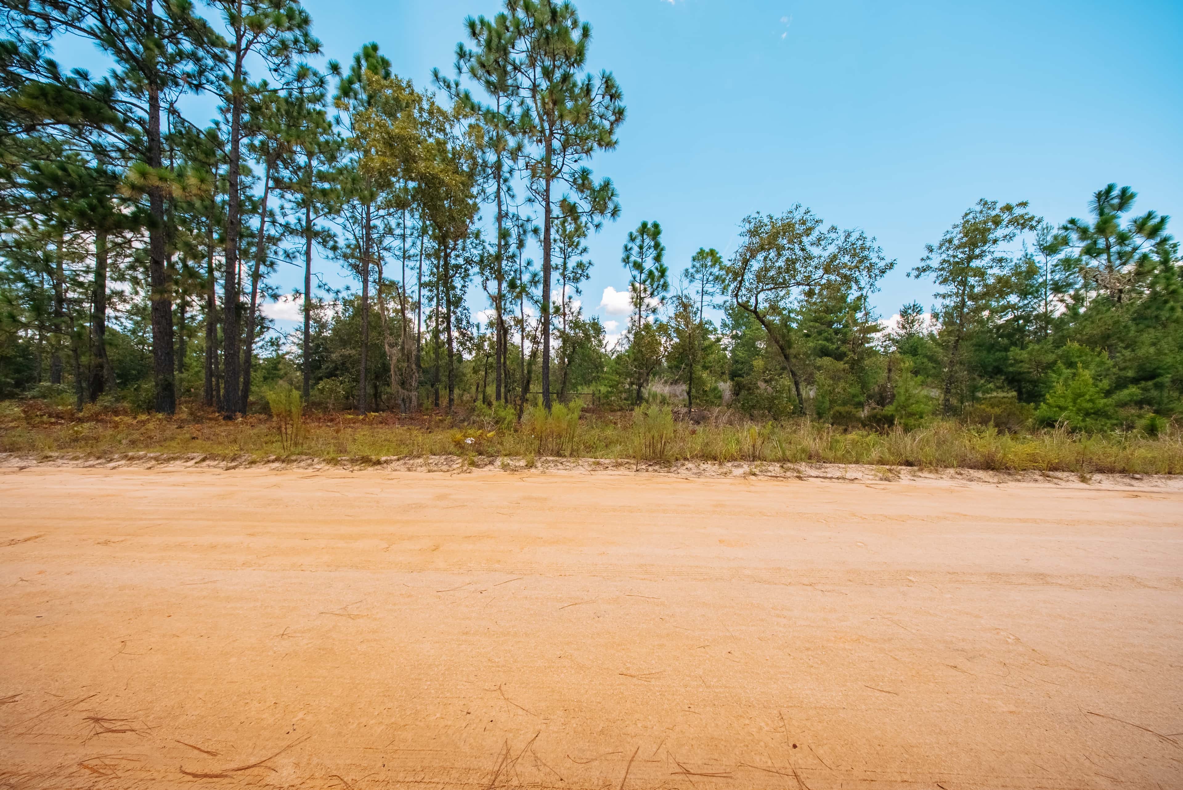 0.9 acre residential zoned land for sale in Putnam County, FL, photo 15