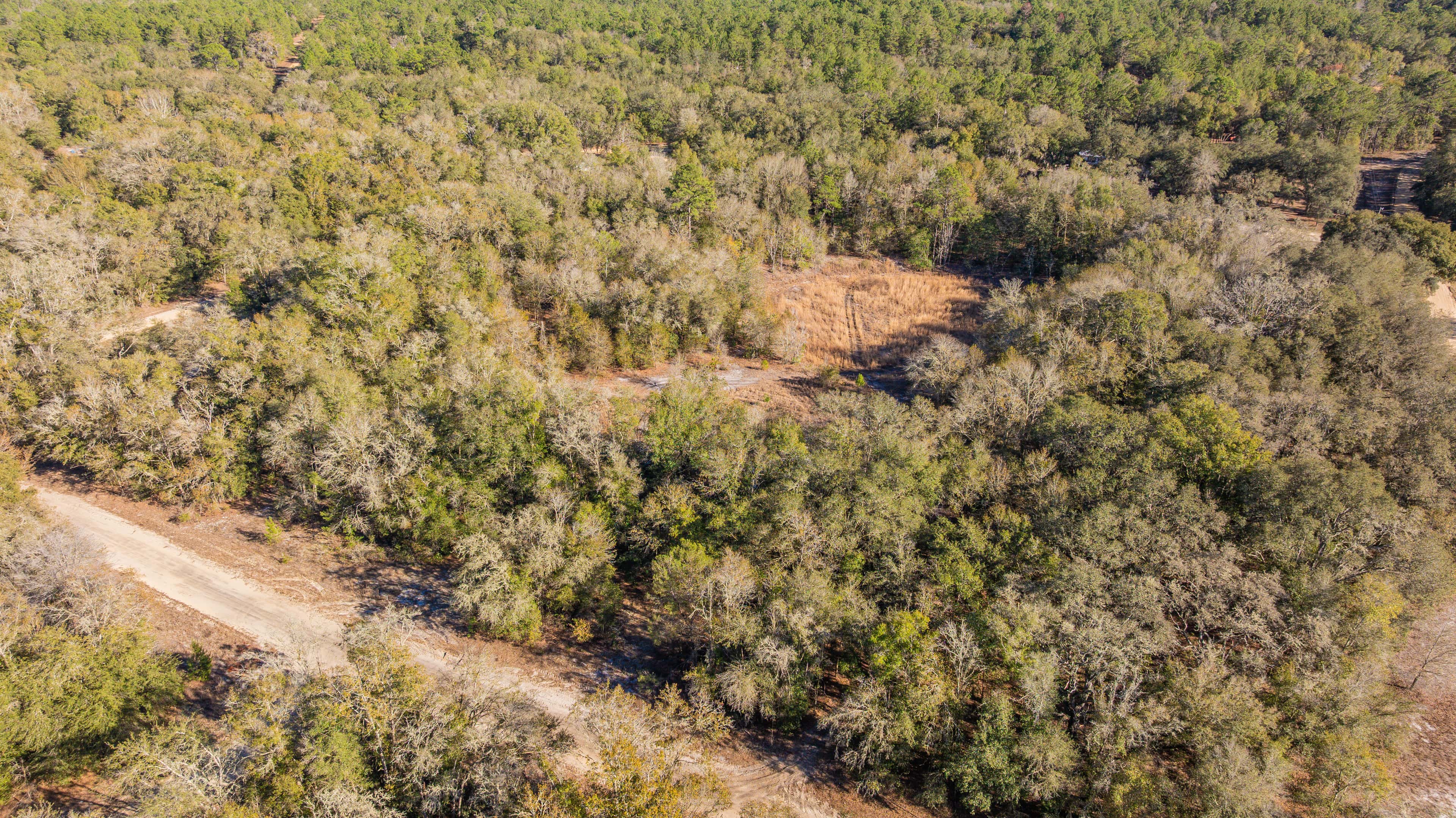 0.26 acre residential zoned land for sale in Putnam County, FL, photo 8
