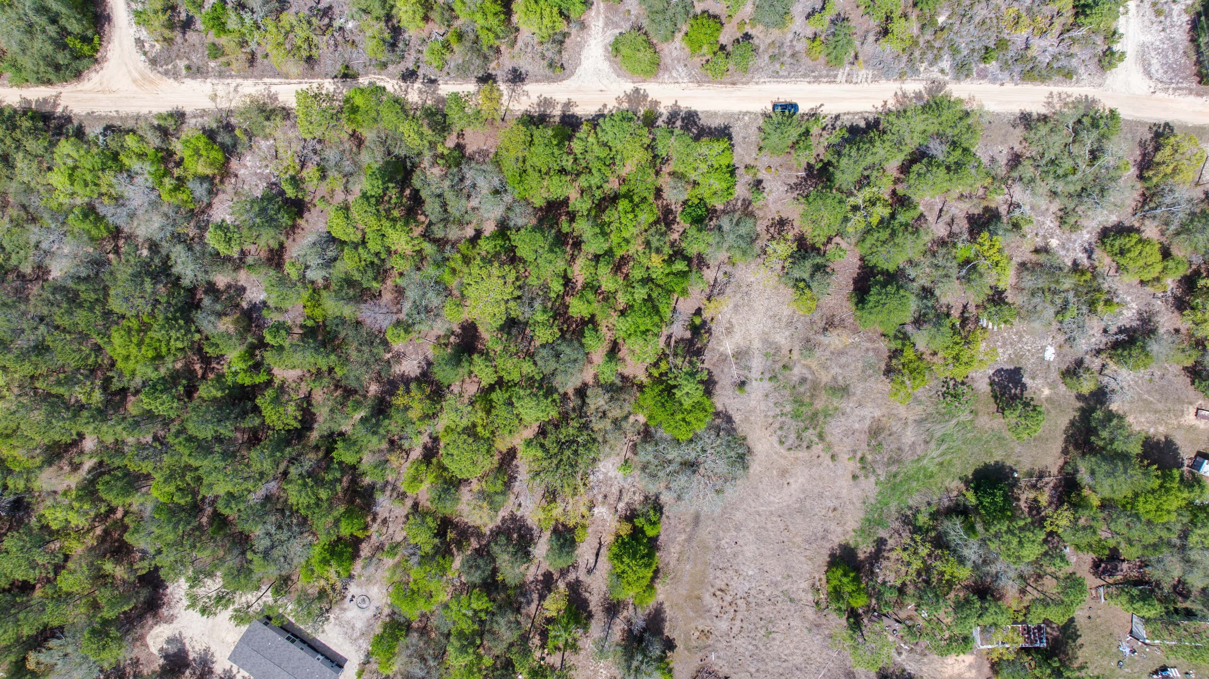 0.3 acre residential zoned land for sale in Putnam County, FL, photo 7