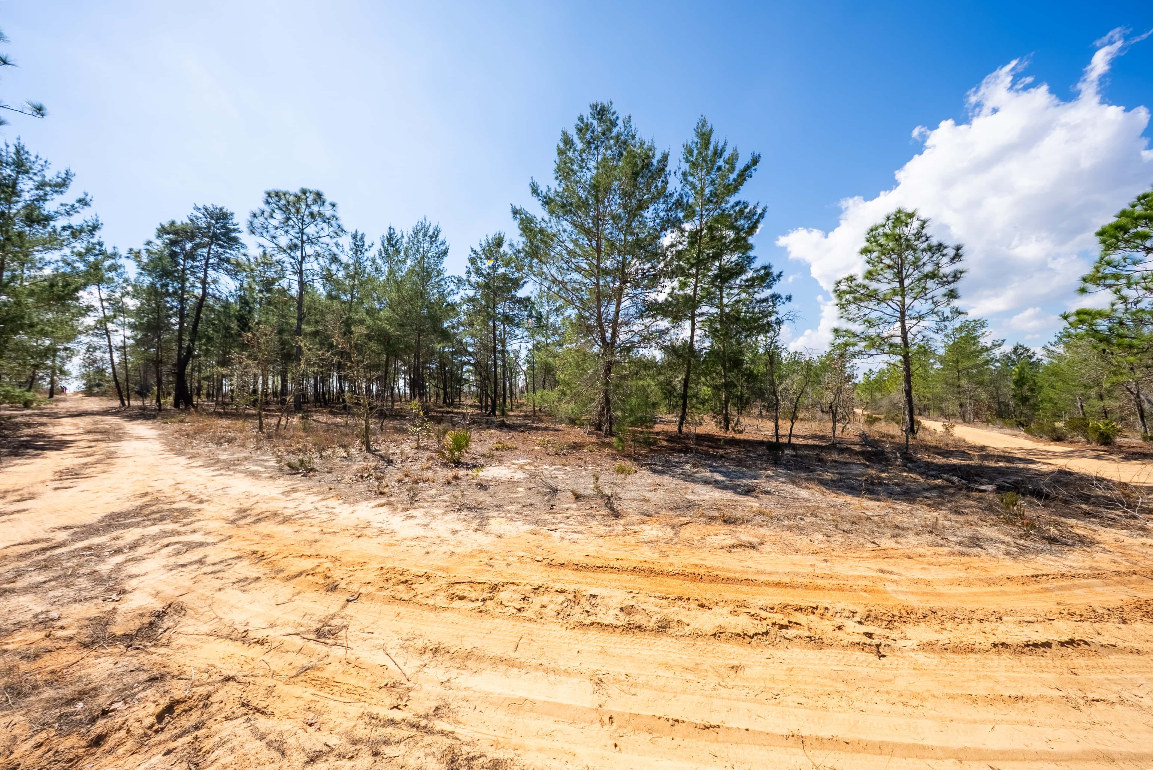 0.37 acre residential zoned land for sale in Putnam County, FL, photo 9