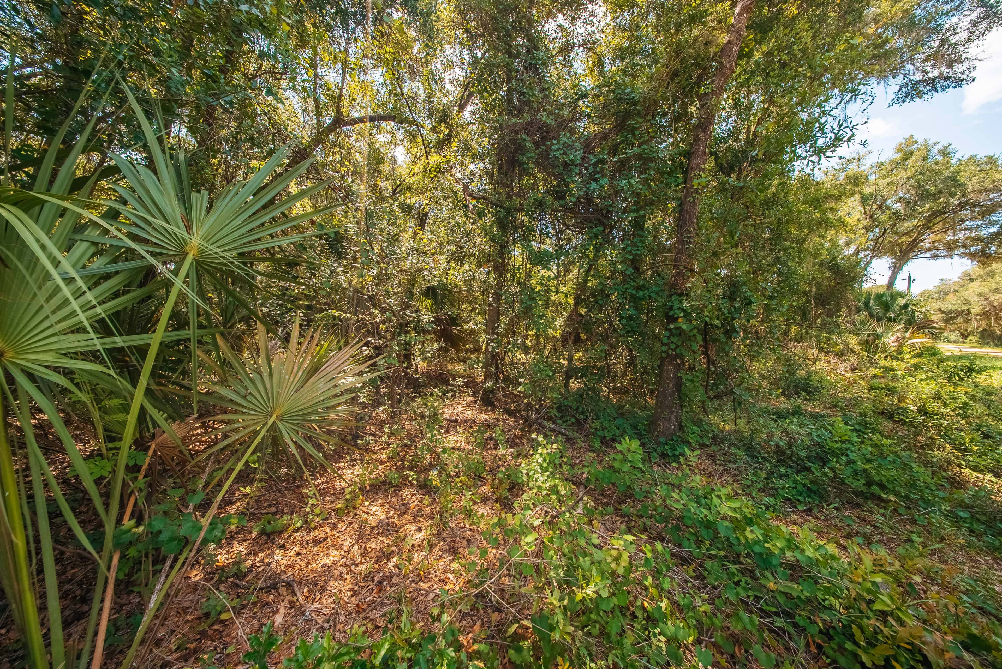 0.26 acre residential zoned land for sale in Putnam County, FL, photo 14