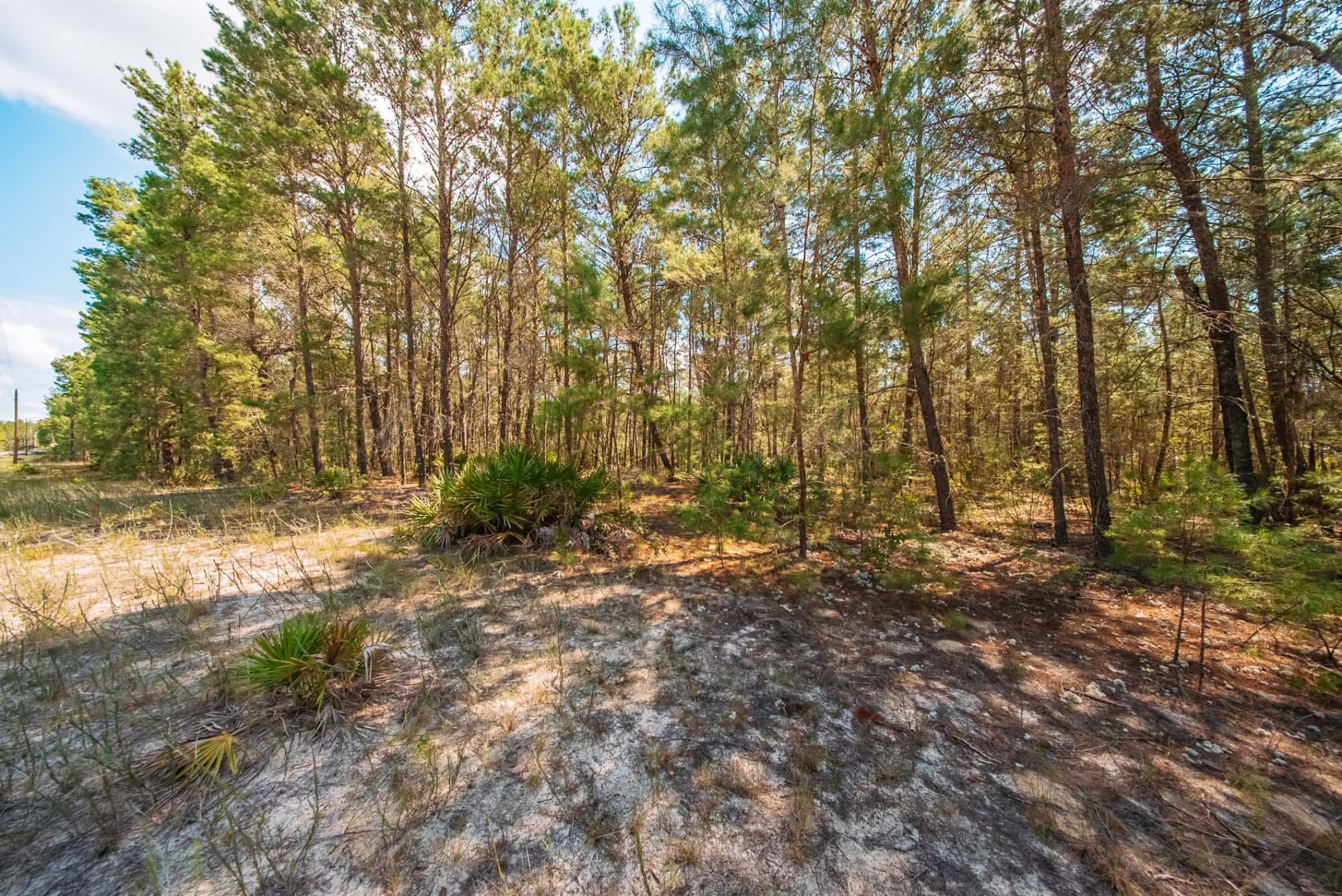 0.34 acre residential zoned land for sale in Putnam County, FL, photo 11
