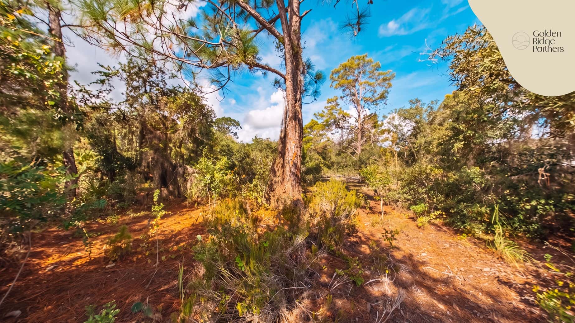 0.24 acre residential zoned land for sale in Highlands County, FL, photo 13