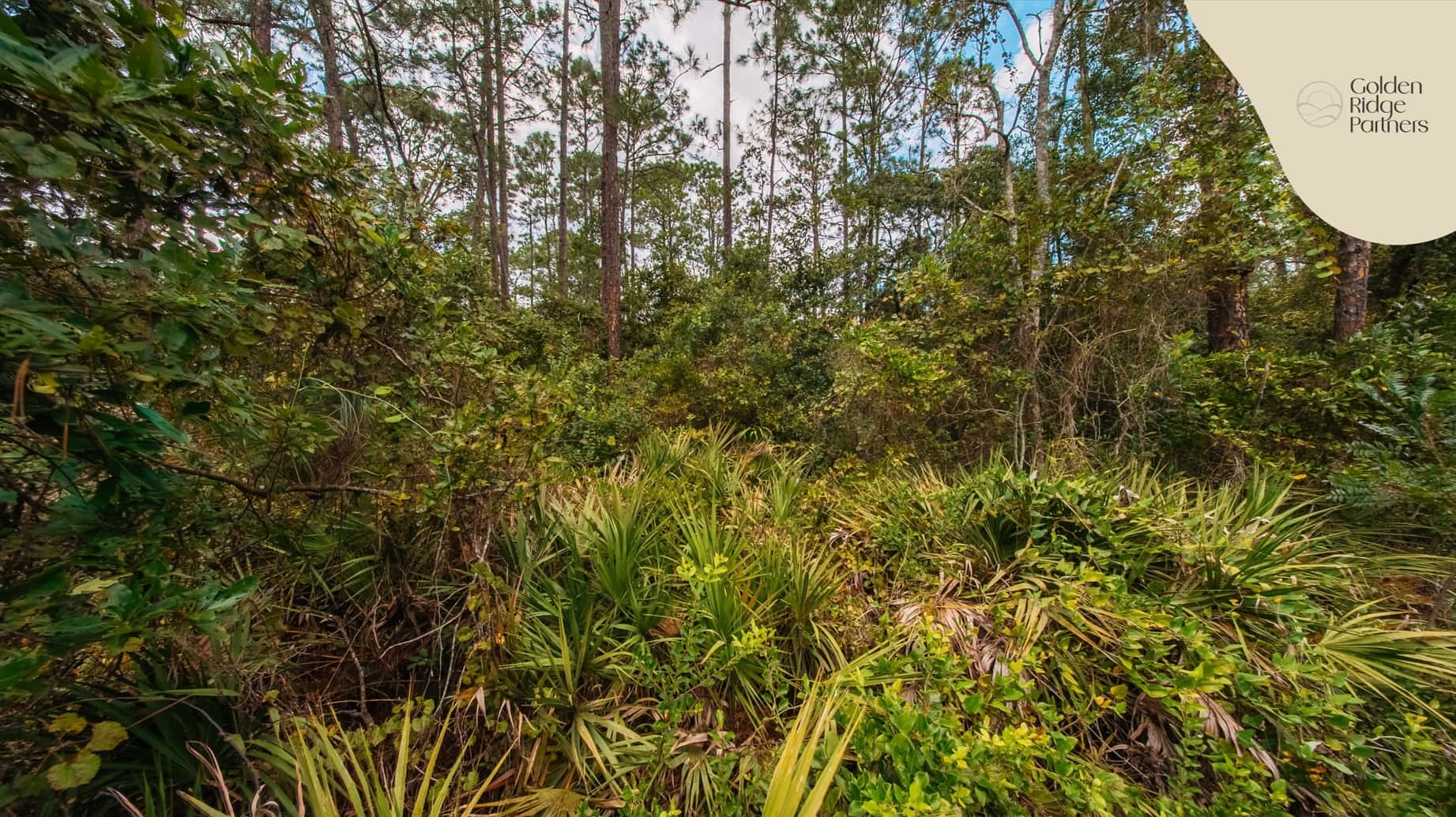 0.29 acre residential zoned land for sale in Putnam County, FL, photo 3