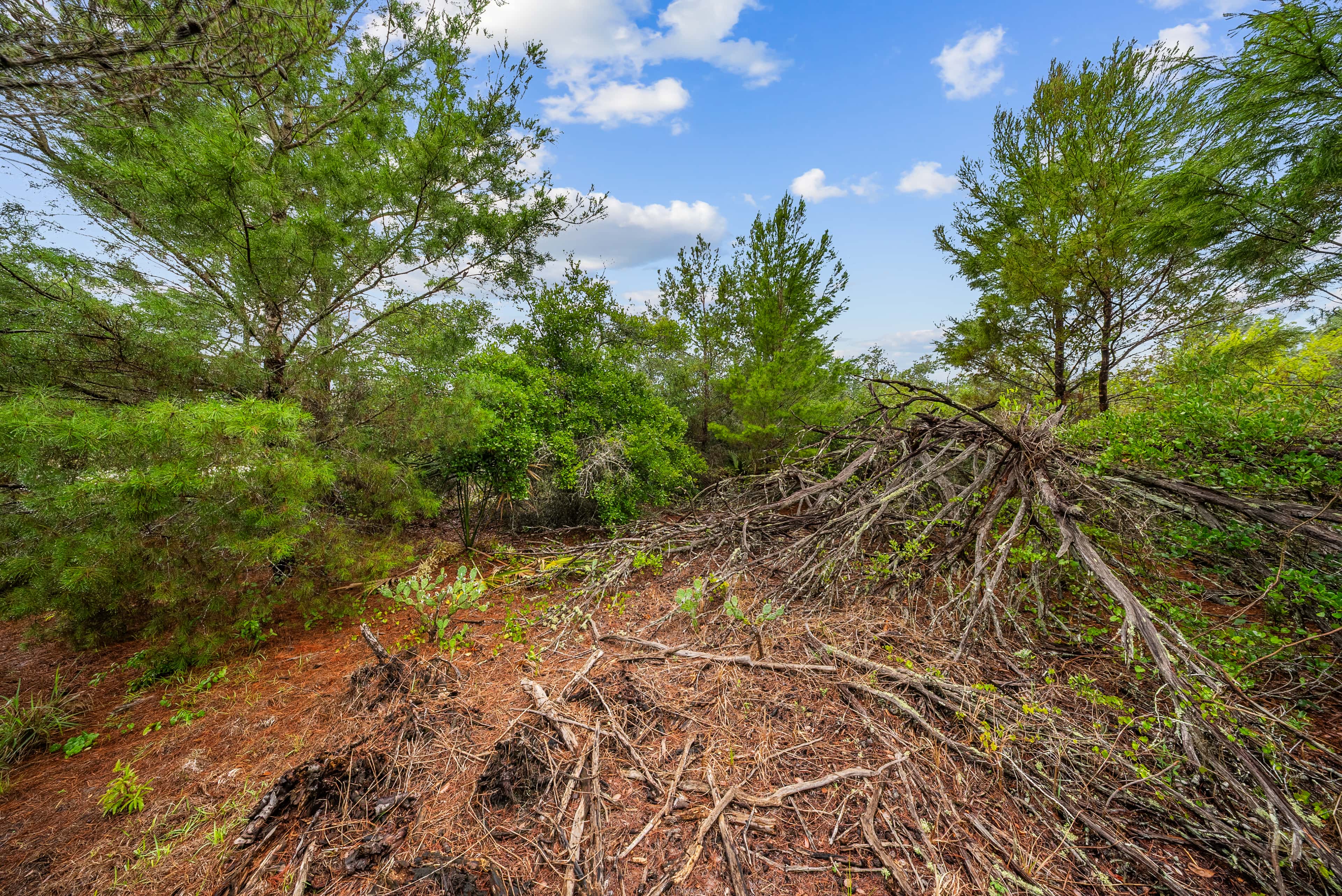 0.23 acre residential zoned land for sale in Highlands County, FL, photo 7