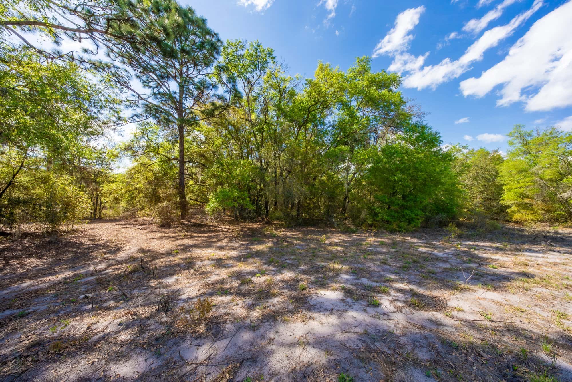 0.28 acre residential zoned land for sale in Putnam County, FL, photo 12