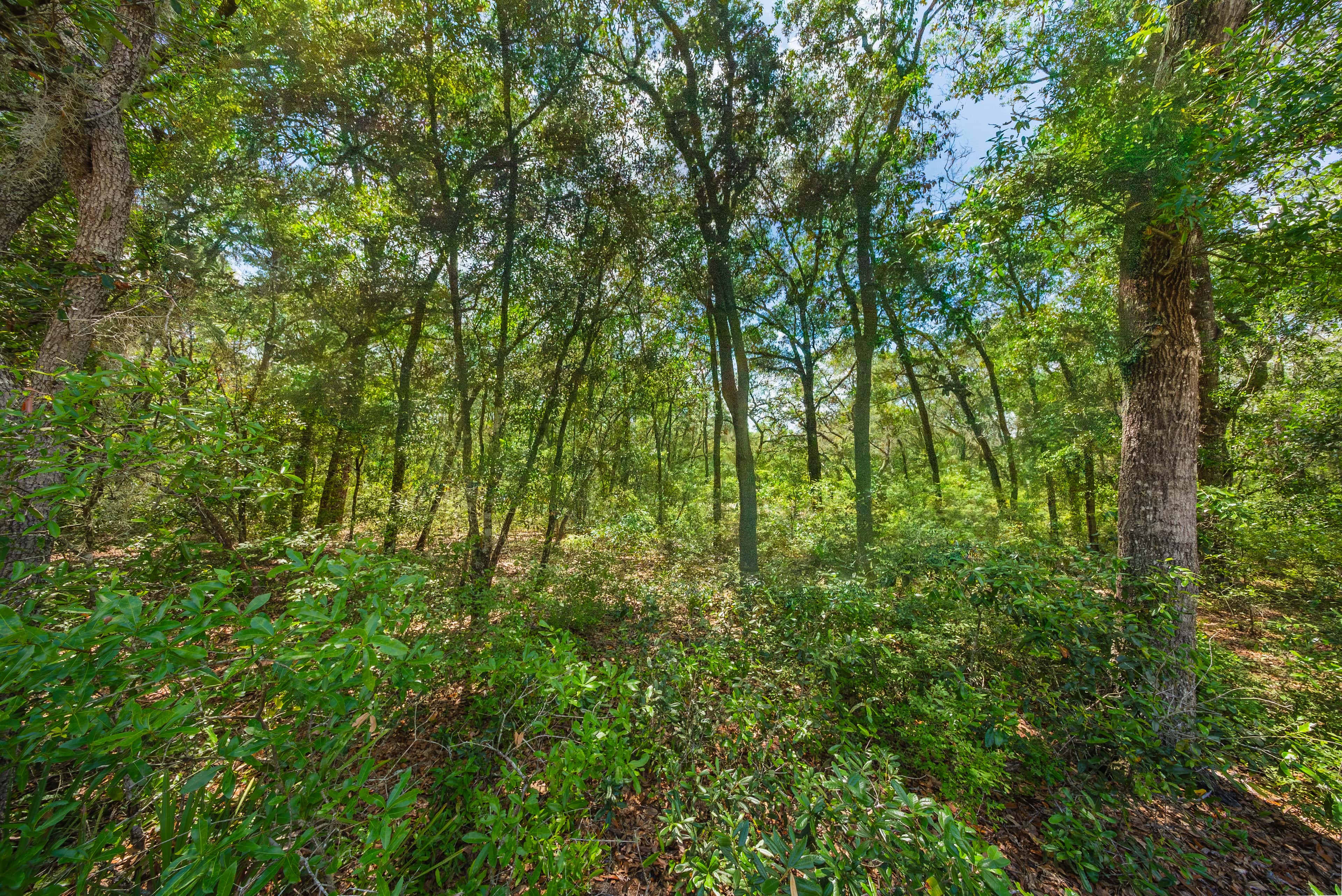 0.22 acre residential zoned land for sale in Putnam County, FL, photo 6