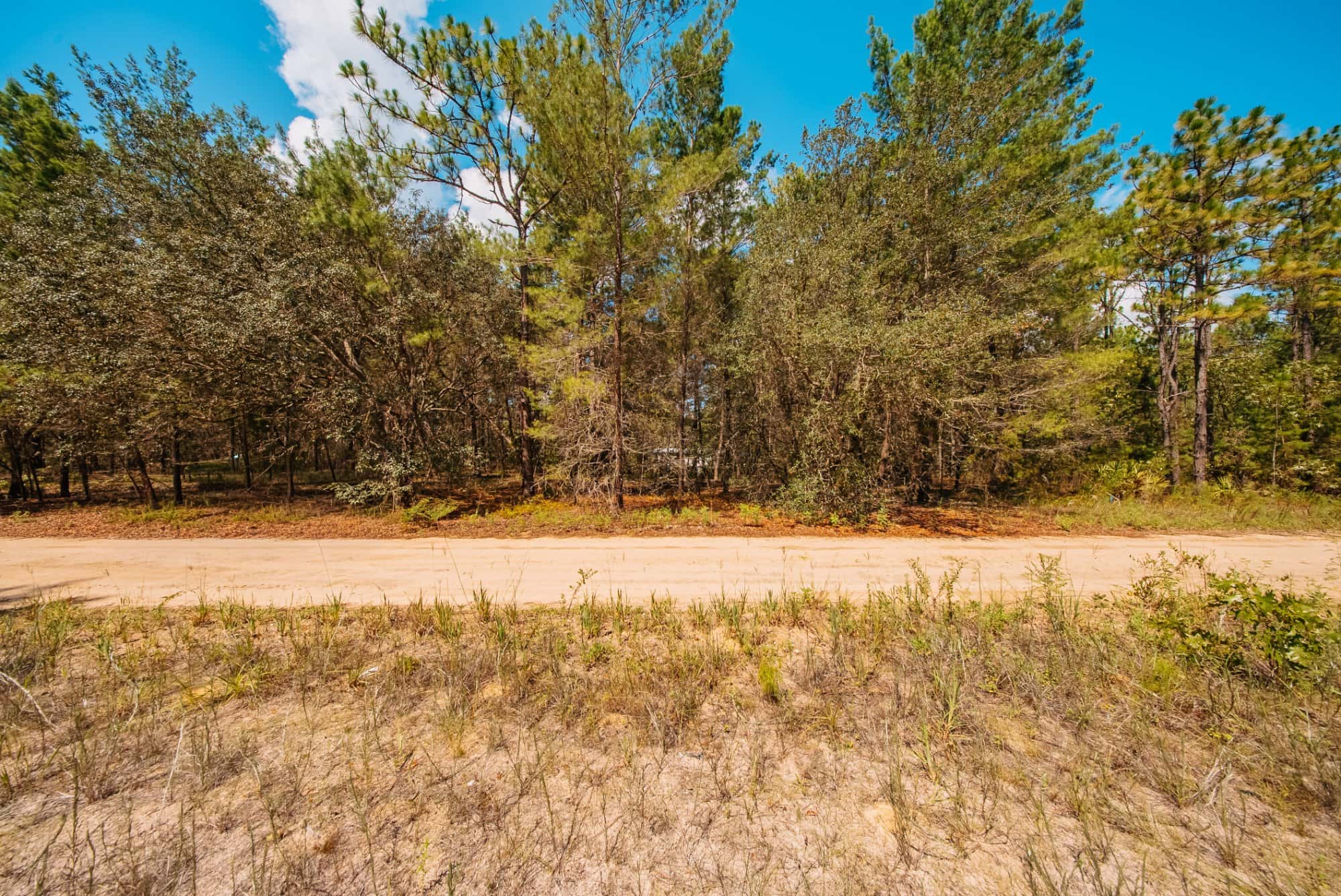 0.34 acre residential zoned land for sale in Putnam County, FL, photo 14