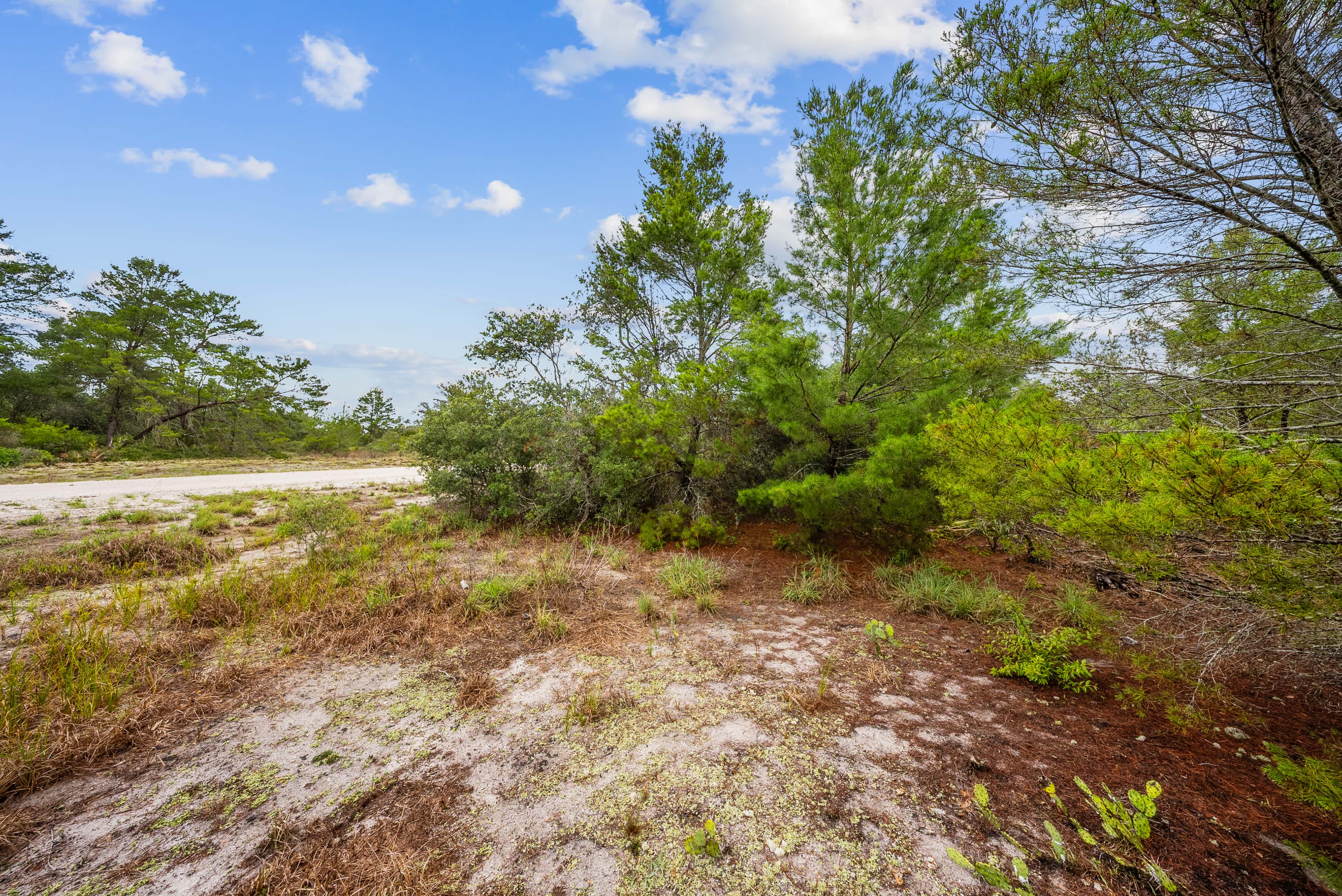 0.23 acre residential zoned land for sale in Highlands County, FL, photo 8