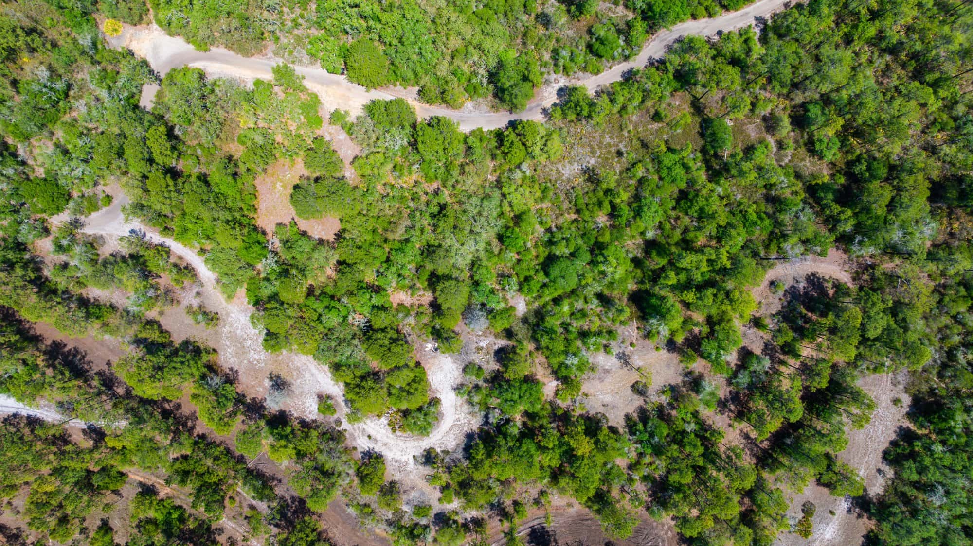 0.19 acre residential zoned land for sale in Putnam County, FL, photo 3