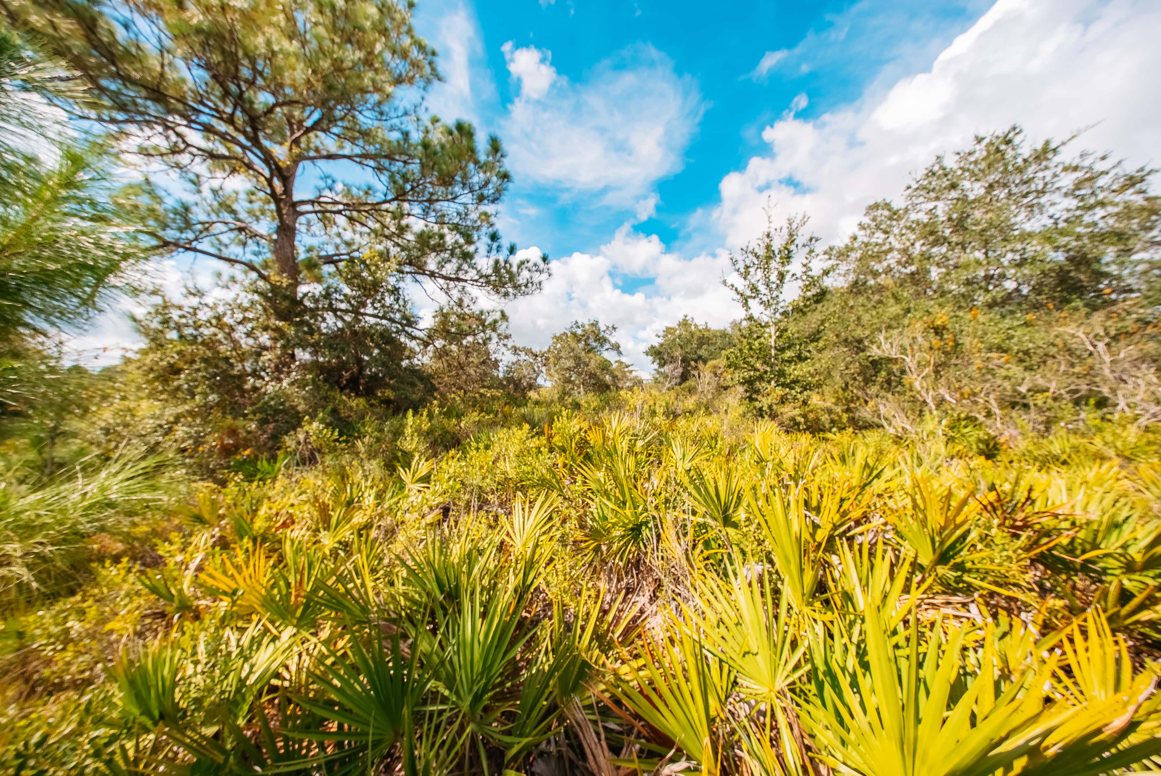 0.3 acre residential zoned land for sale in Highlands County, FL, photo 12