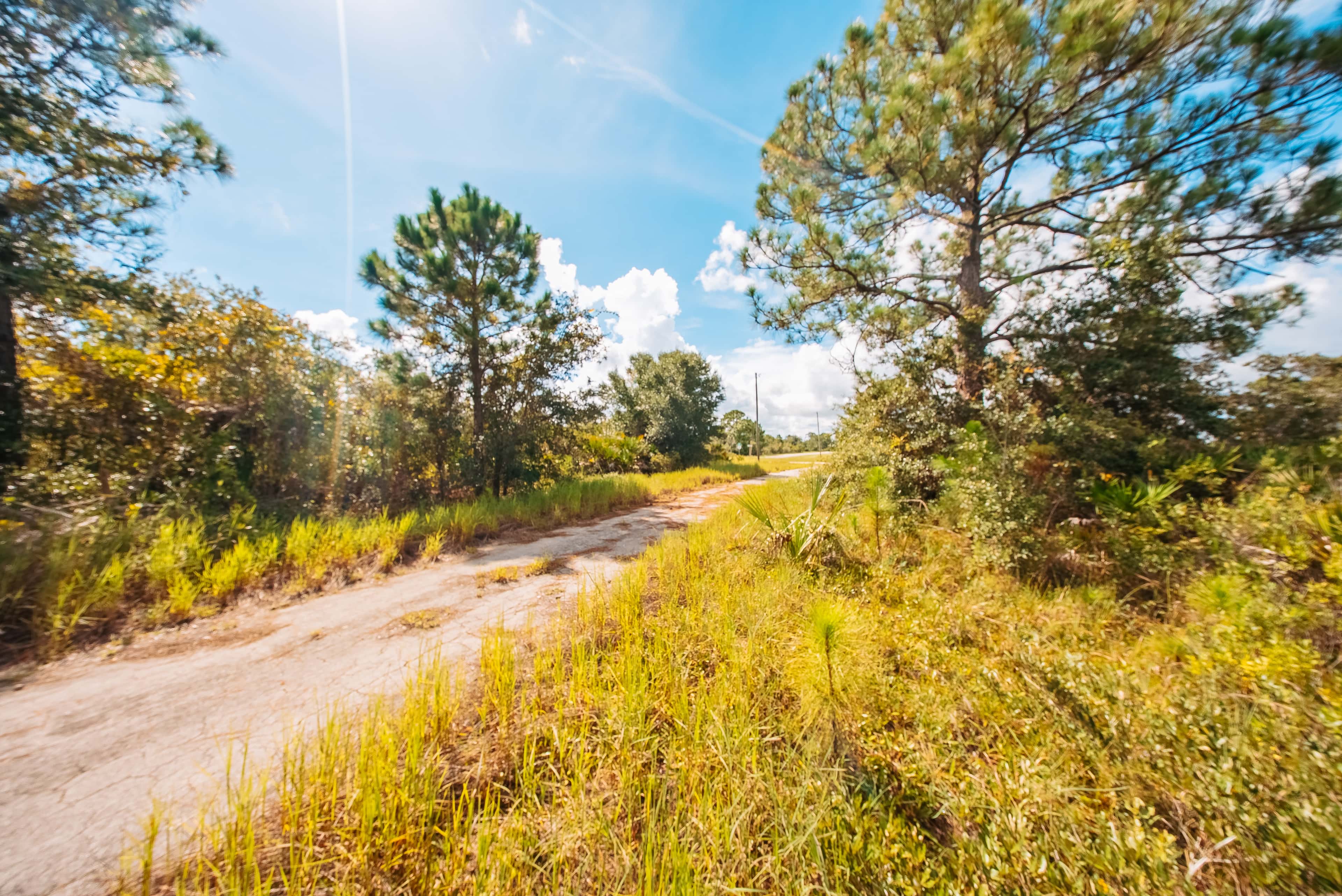 0.3 acre residential zoned land for sale in Highlands County, FL, photo 15