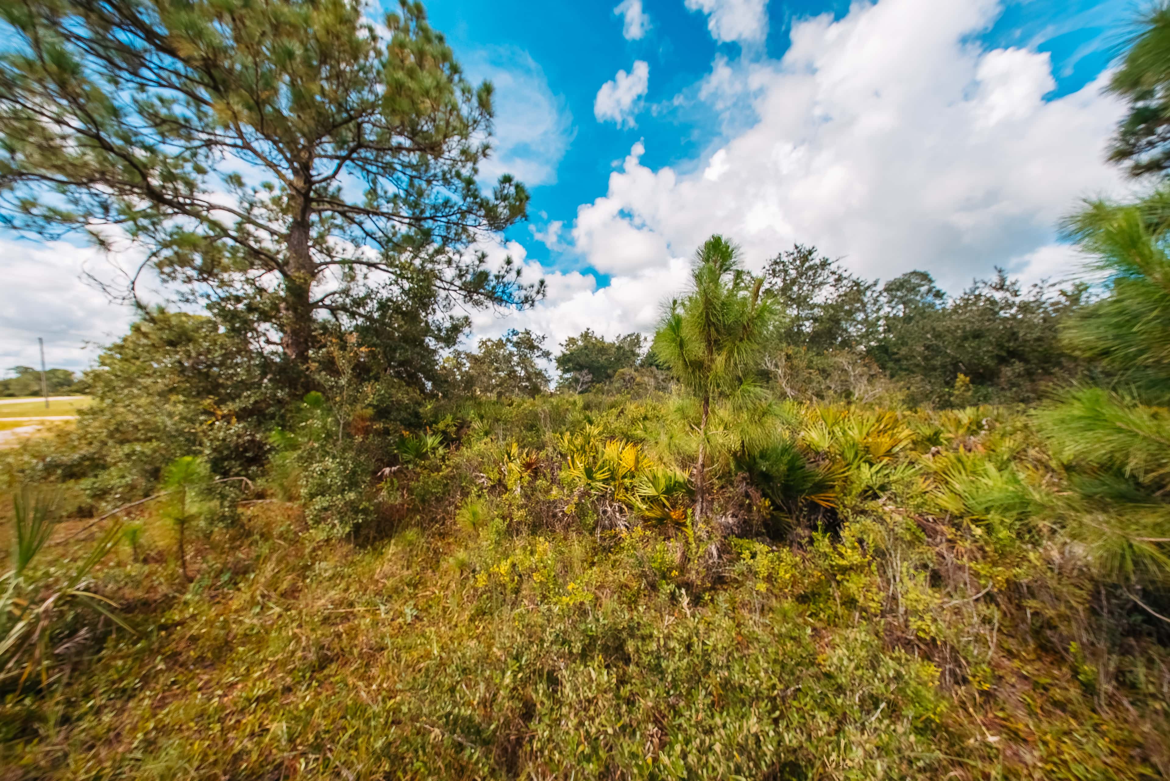 0.3 acre residential zoned land for sale in Highlands County, FL, photo 10