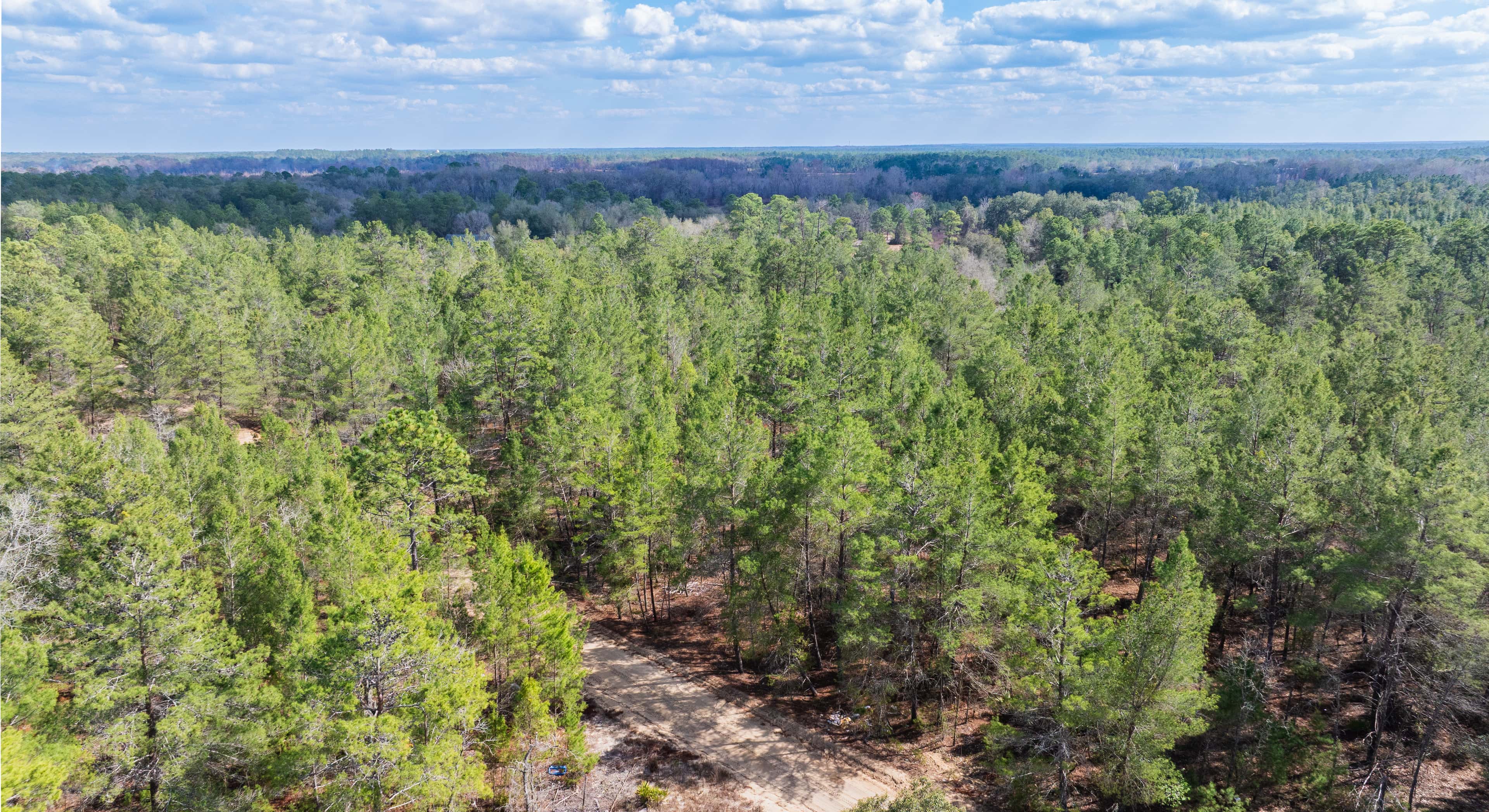 0.4 acre residential zoned land for sale in Putnam County, FL, photo 4