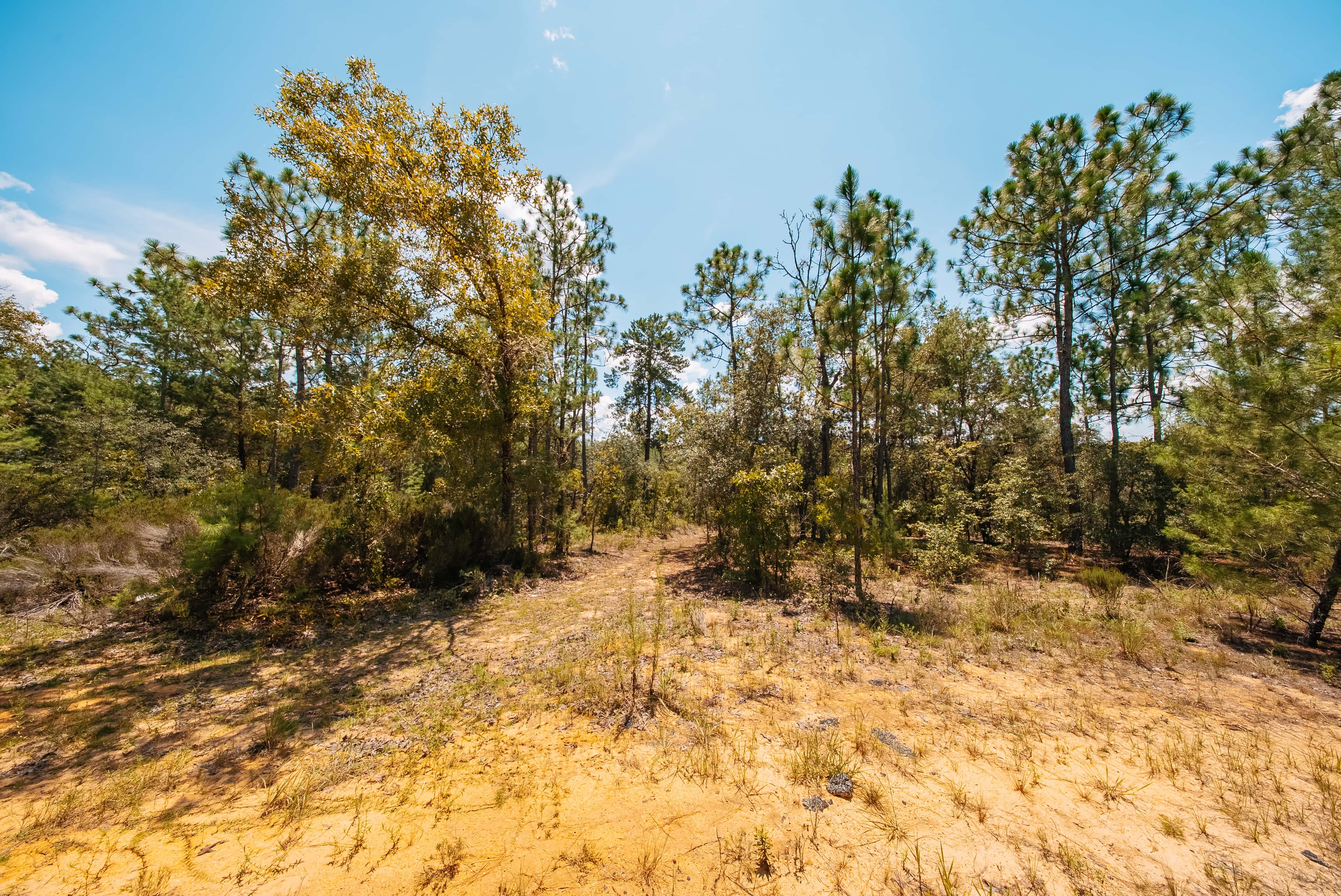 1.03 acre residential zoned land for sale in Putnam County, FL, photo 15