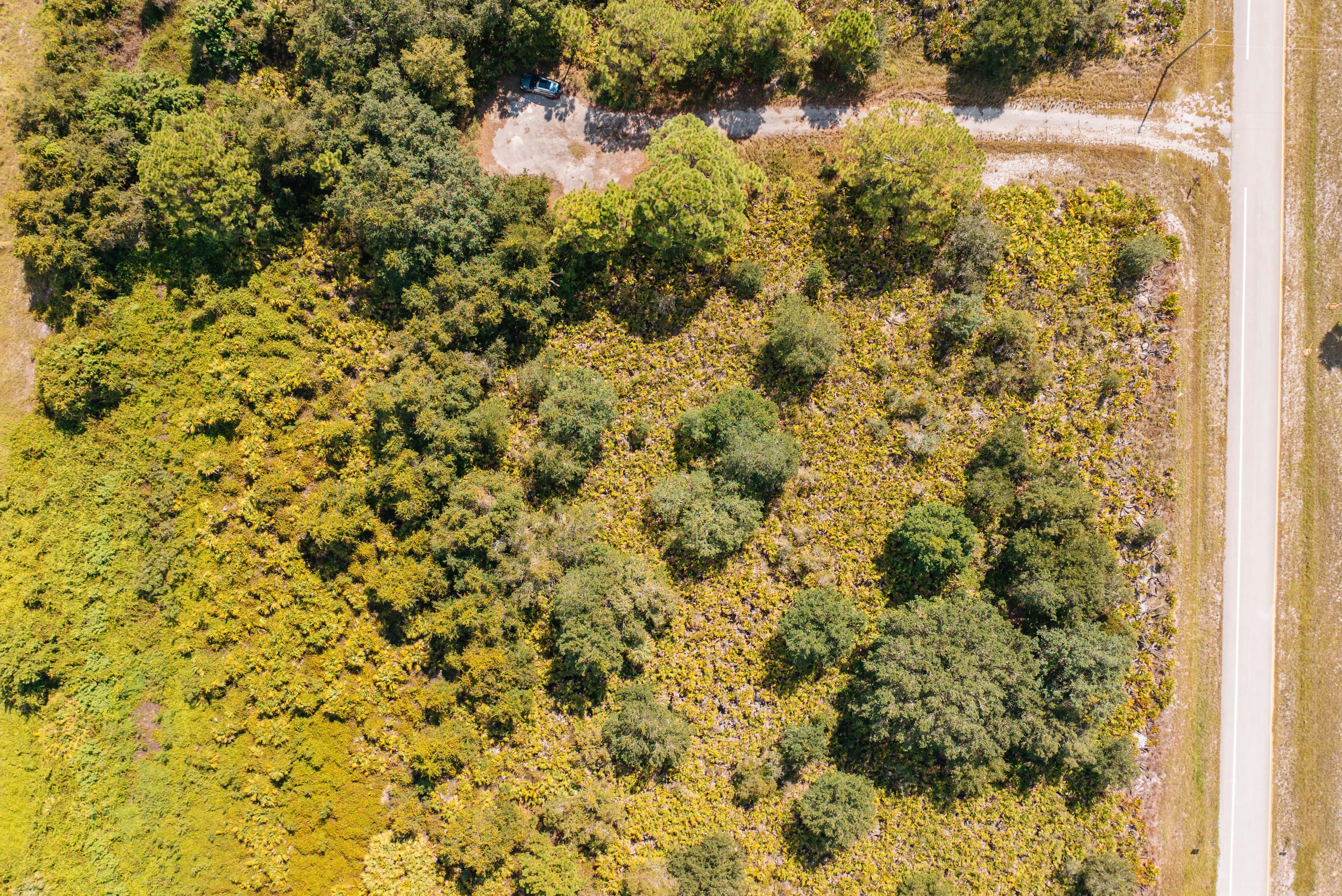0.3 acre residential zoned land for sale in Highlands County, FL, photo 6