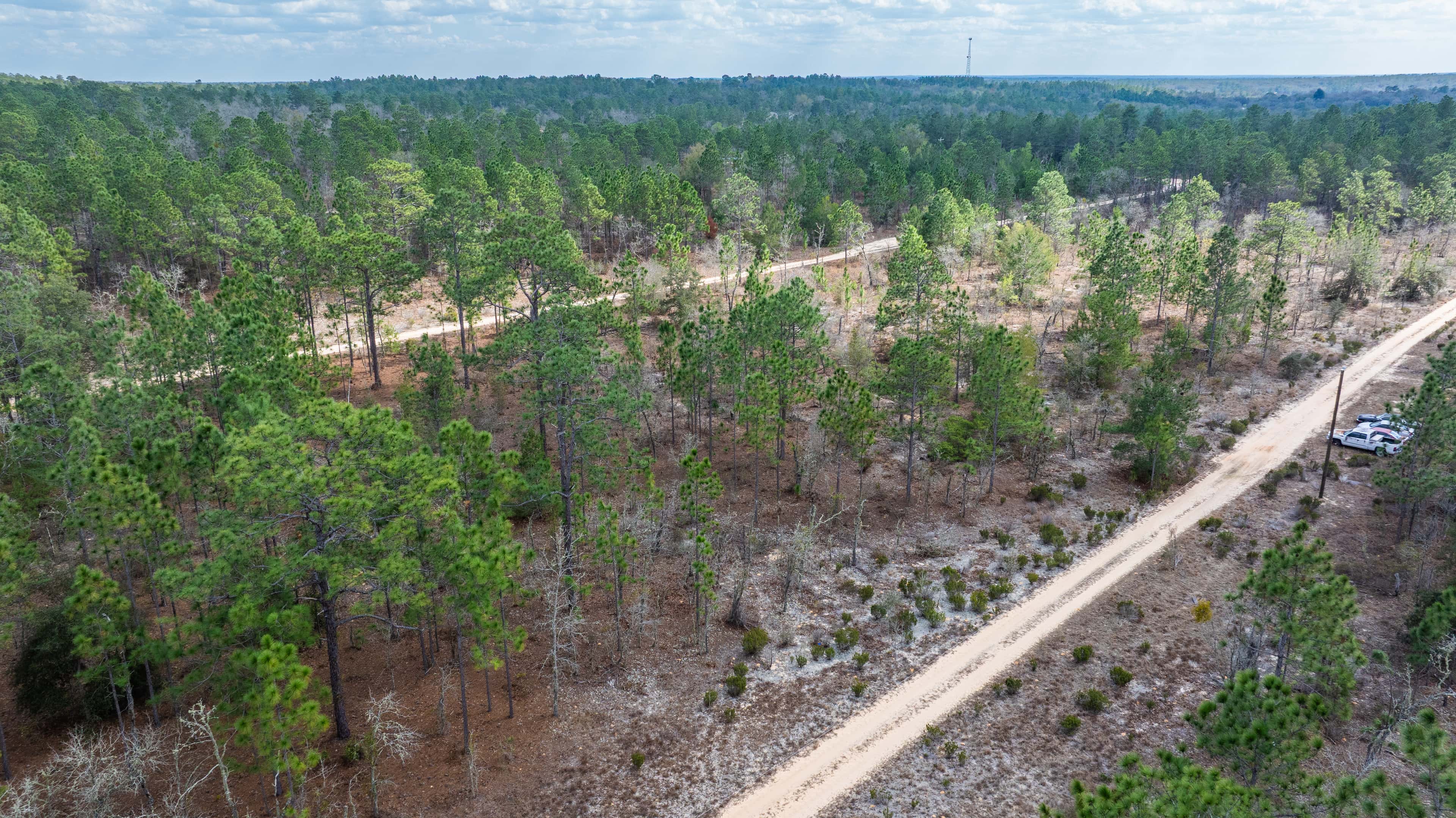 0.46 acre residential zoned land for sale in Putnam County, FL, photo 4