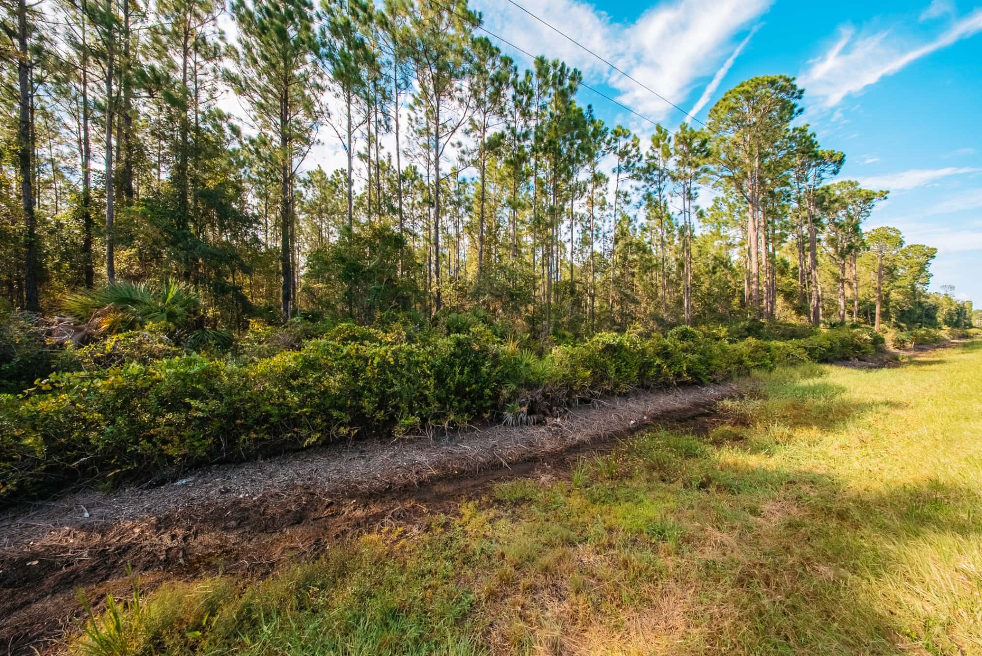 1.55 acre agricultural zoned land for sale in Putnam County, FL, photo 8