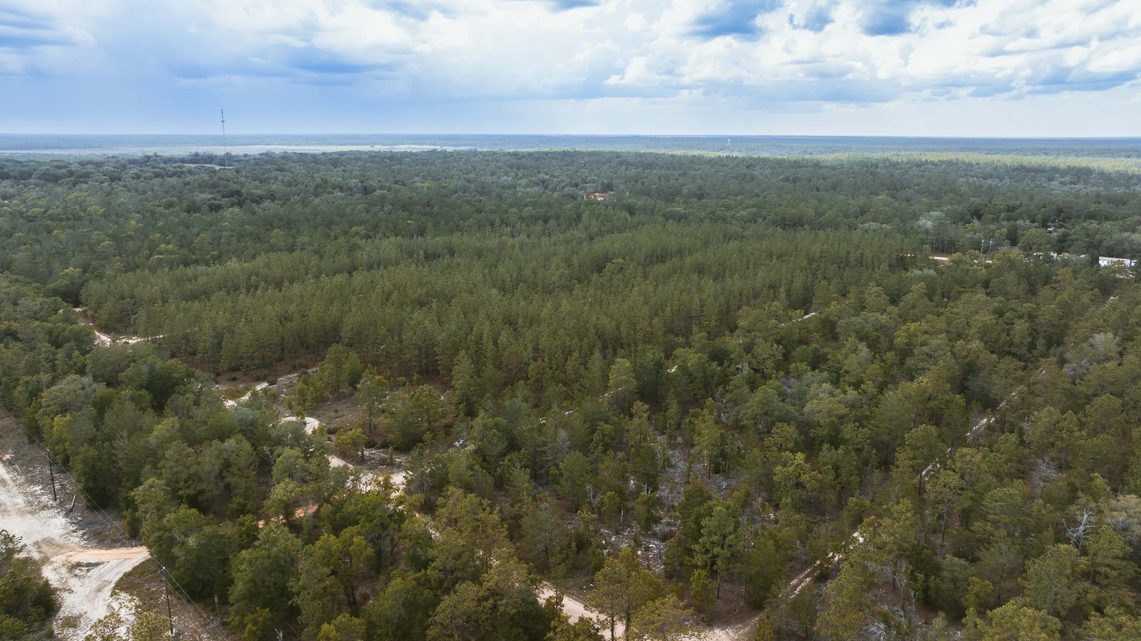 0.25 acre residential zoned land for sale in Putnam County, FL, photo 6