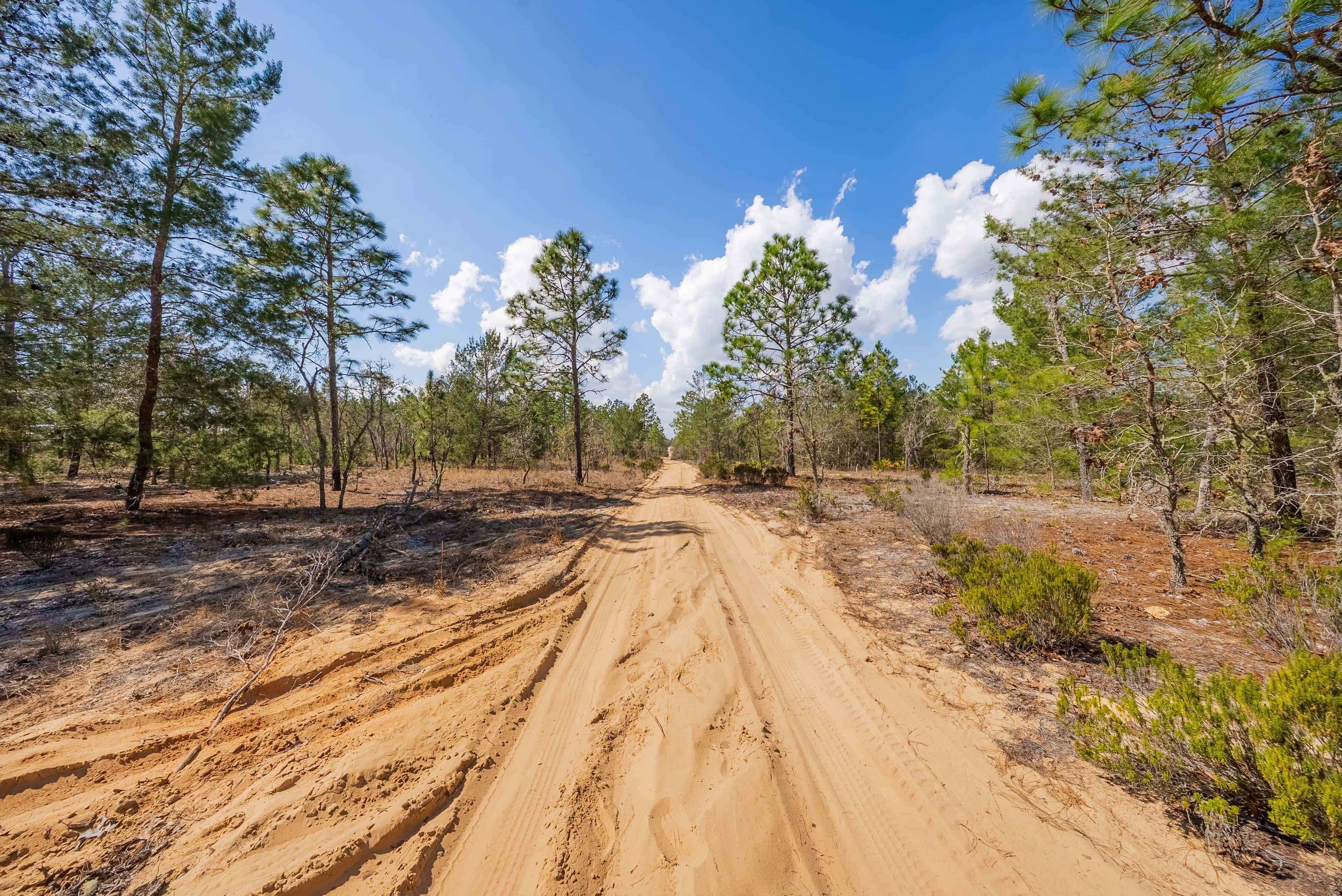 0.37 acre residential zoned land for sale in Putnam County, FL, photo 10