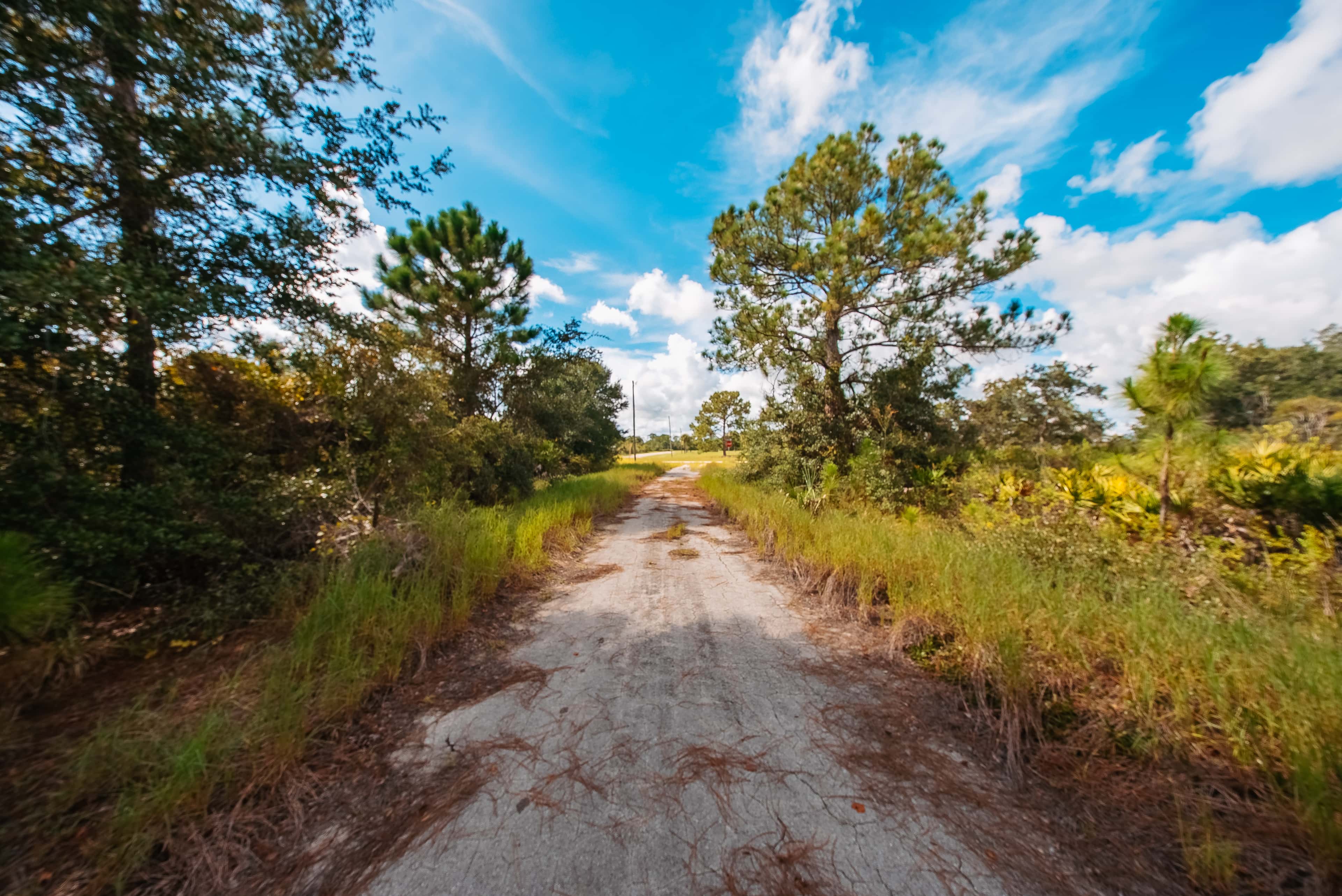 0.3 acre residential zoned land for sale in Highlands County, FL, photo 9