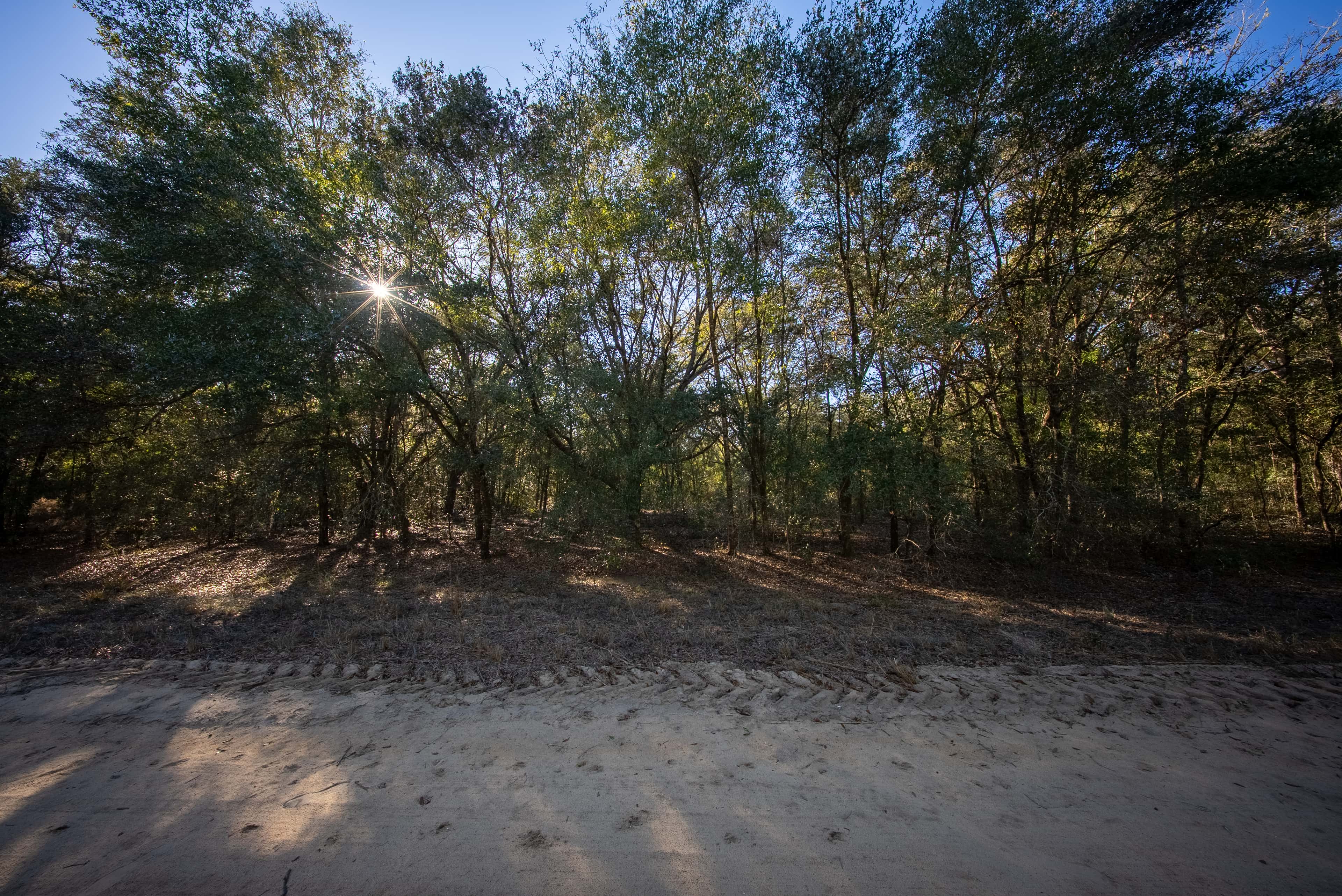 0.22 acre residential zoned land for sale in Putnam County, FL, photo 9