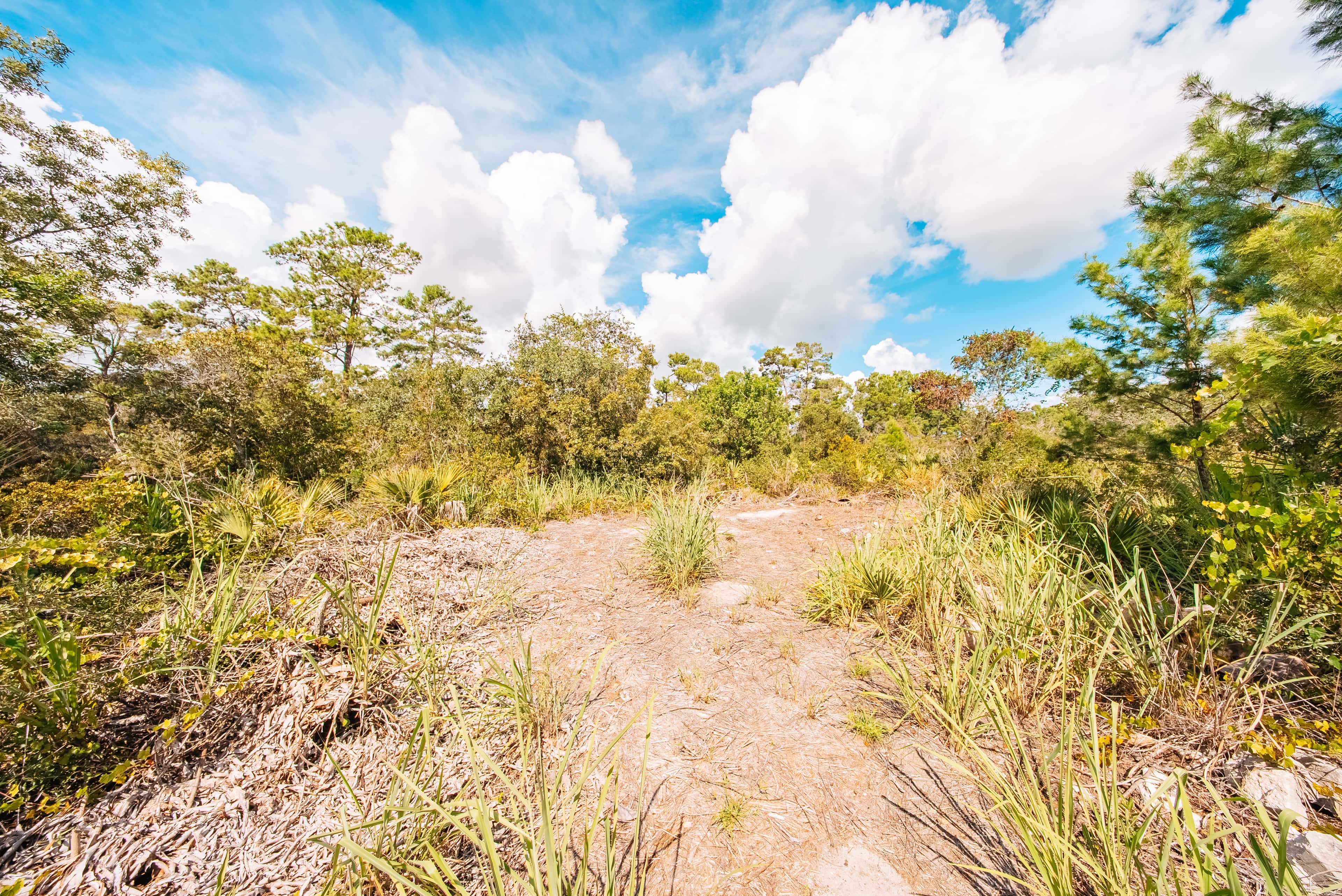 1.35 acre residential zoned land for sale in Highlands County, FL, photo 8
