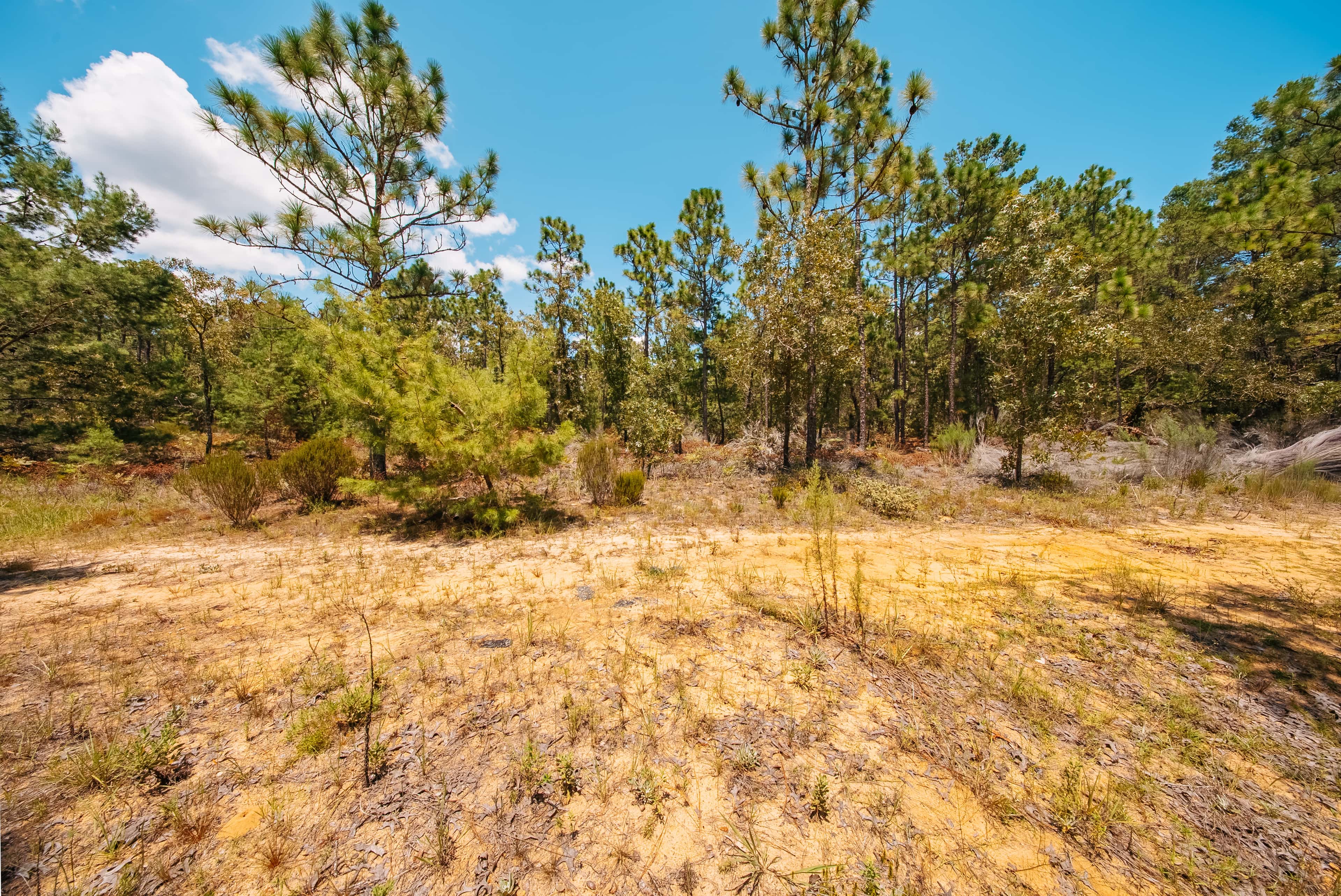 1.03 acre residential zoned land for sale in Putnam County, FL, photo 9