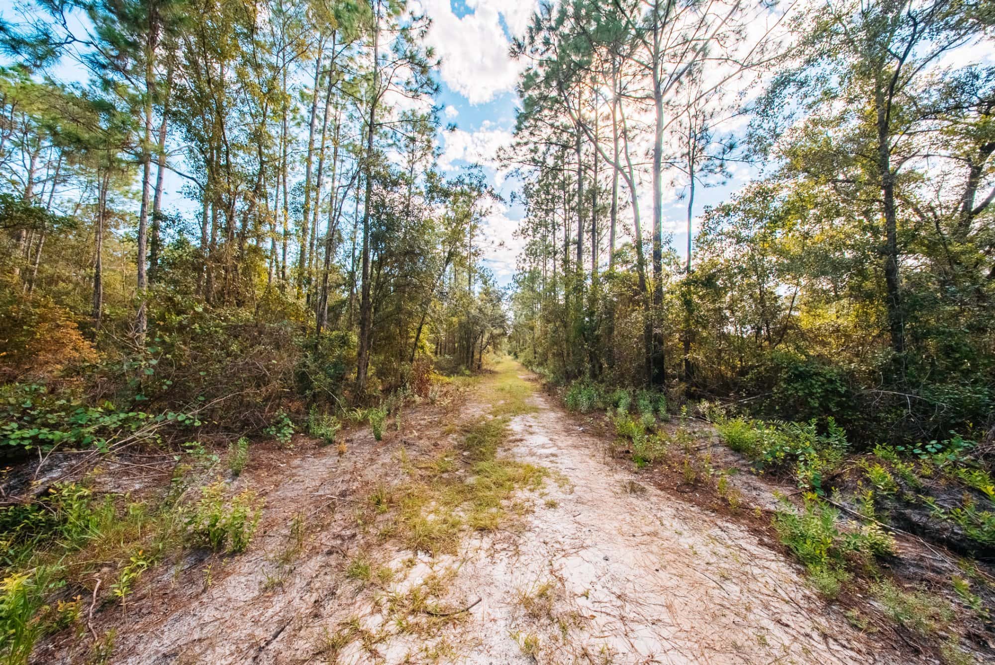 1.55 acre agricultural zoned land for sale in Putnam County, FL, photo 5
