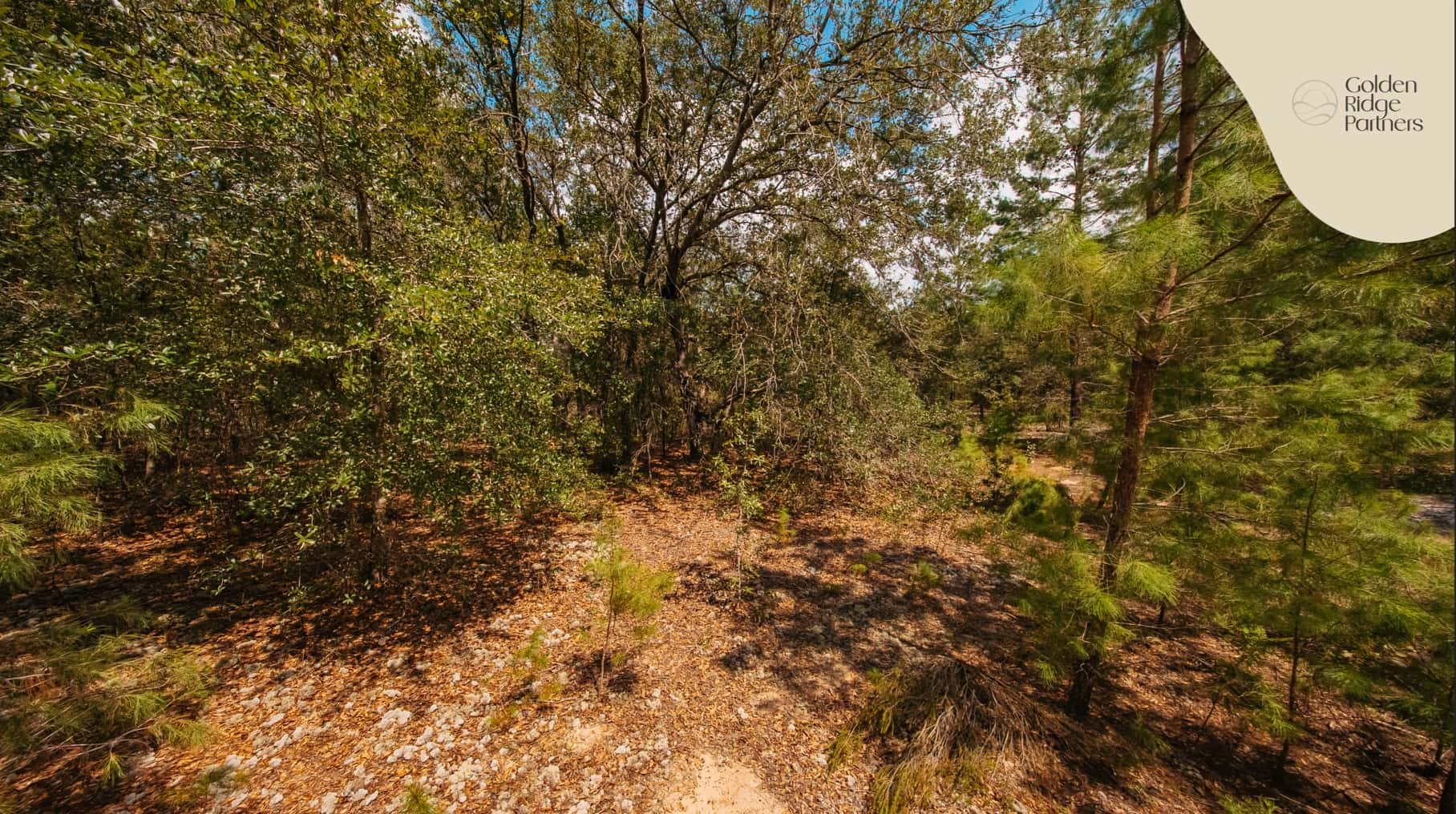 0.23 acre residential zoned land for sale in Putnam County, FL, photo 3
