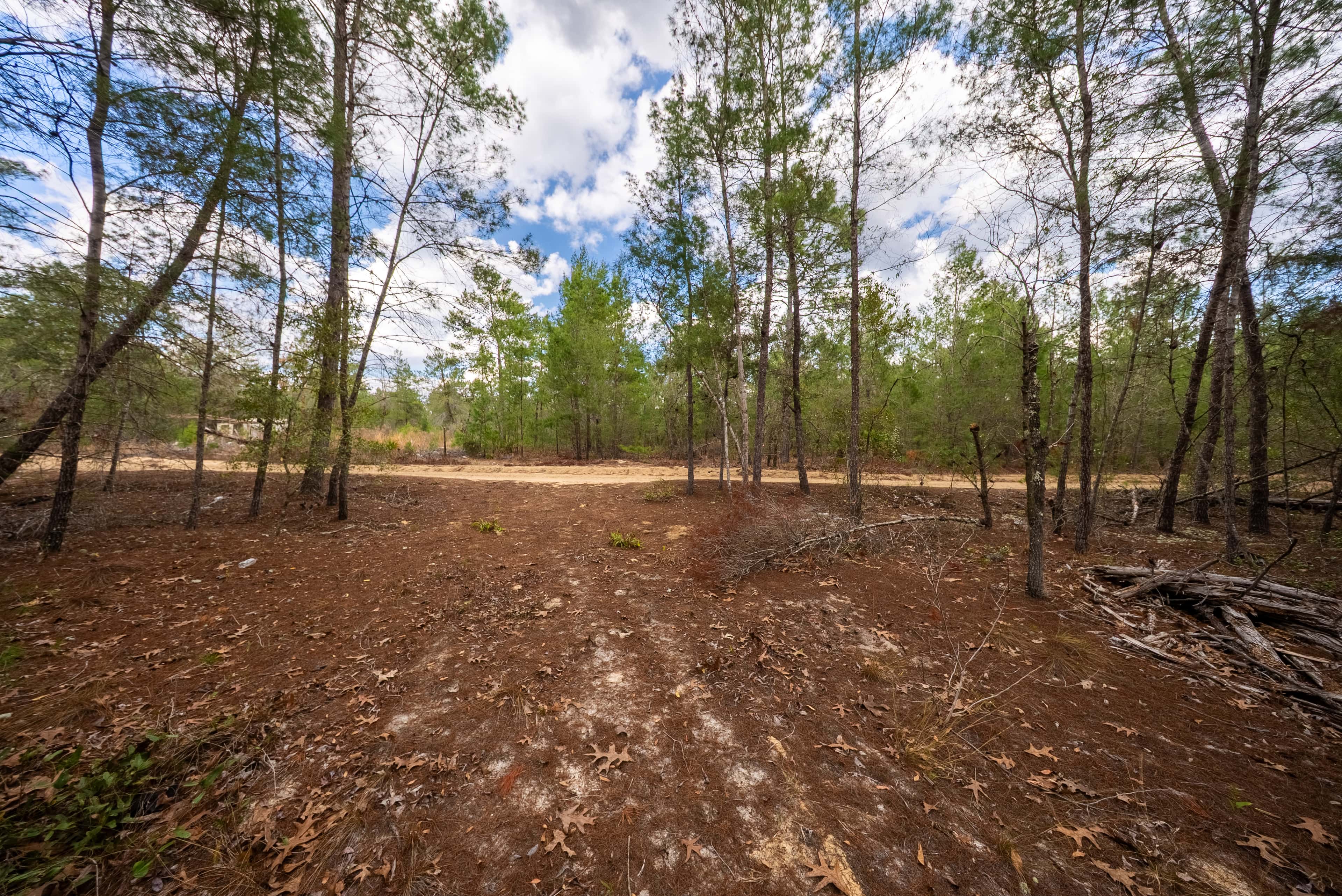 0.4 acre residential zoned land for sale in Putnam County, FL, photo 12