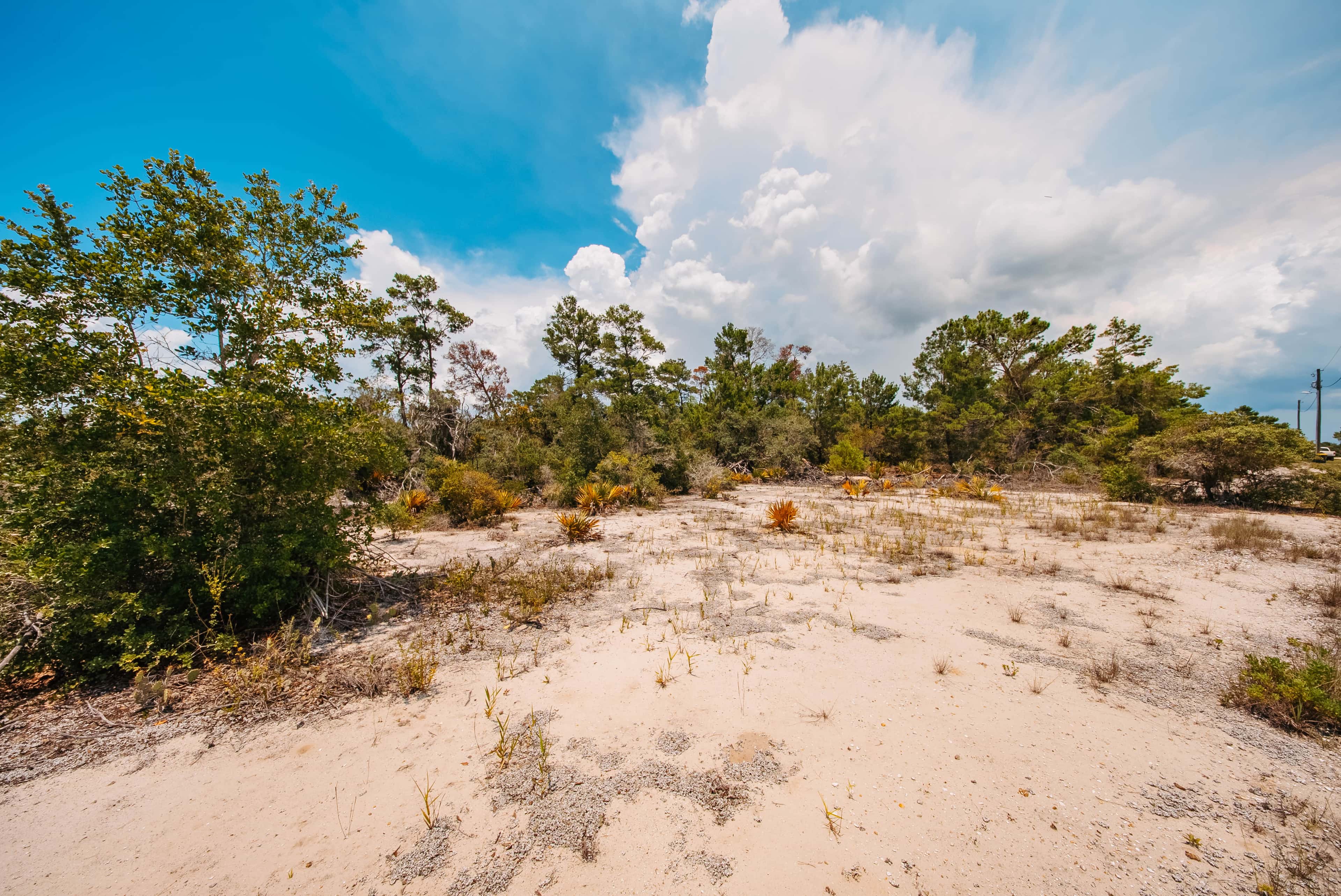 0.23 acre residential zoned land for sale in Highlands County, FL, photo 11