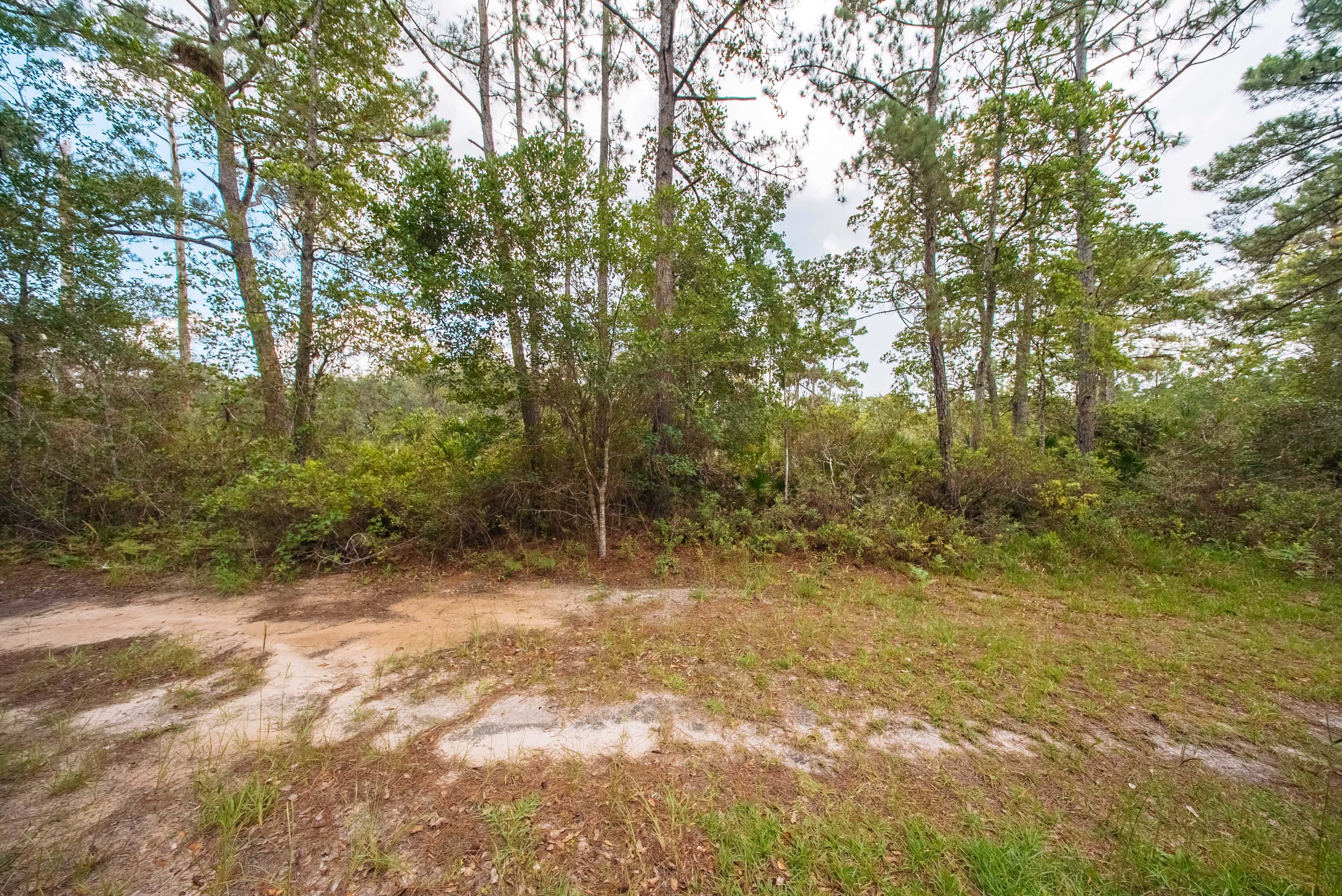 0.23 acre residential zoned land for sale in Putnam County, FL, photo 9