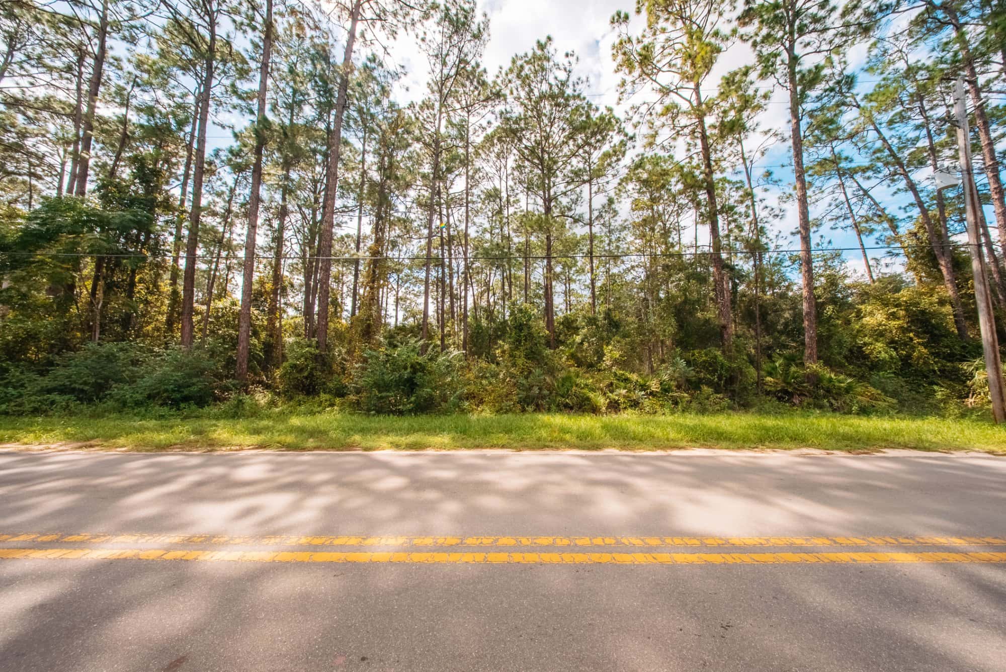 0.29 acre residential zoned land for sale in Putnam County, FL, photo 7