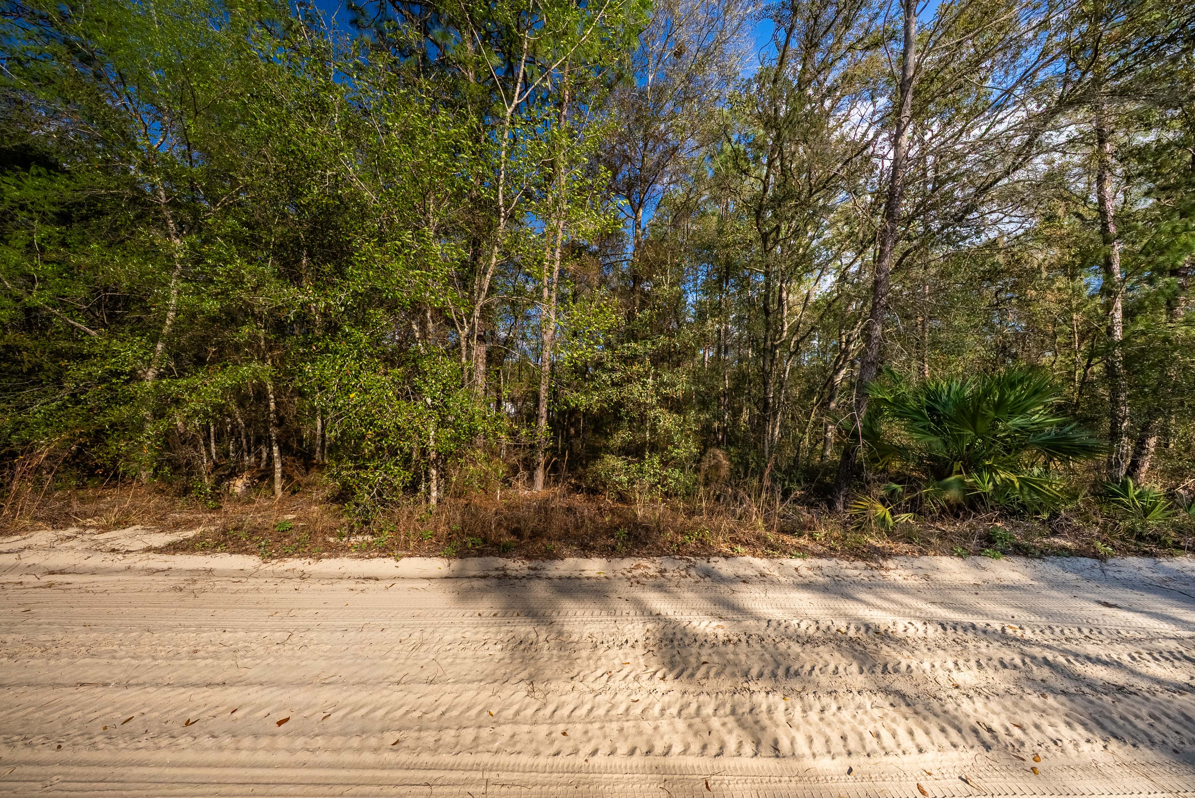 0.23 acre residential zoned land for sale in Putnam County, FL, photo 11
