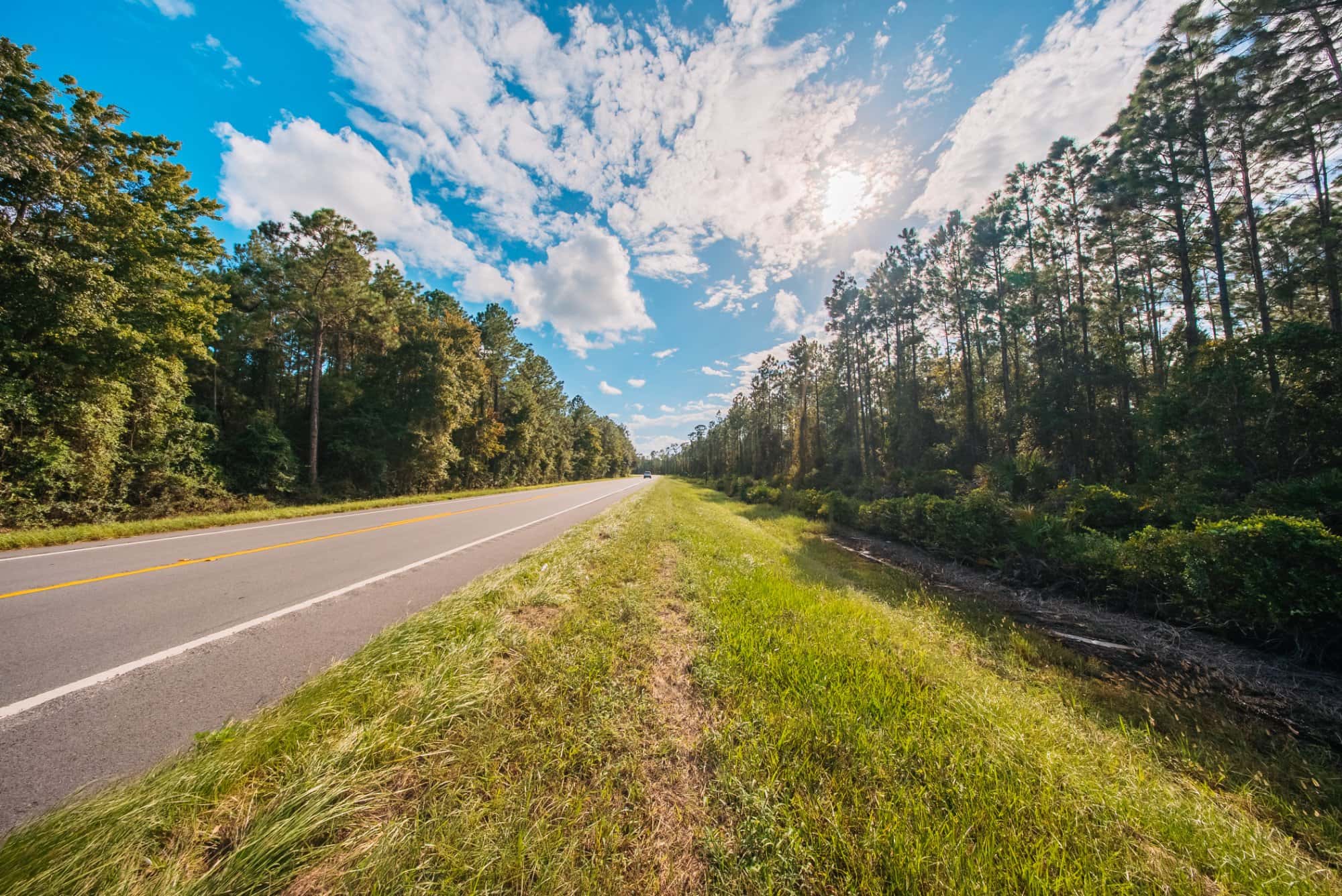 1.55 acre agricultural zoned land for sale in Putnam County, FL, photo 7